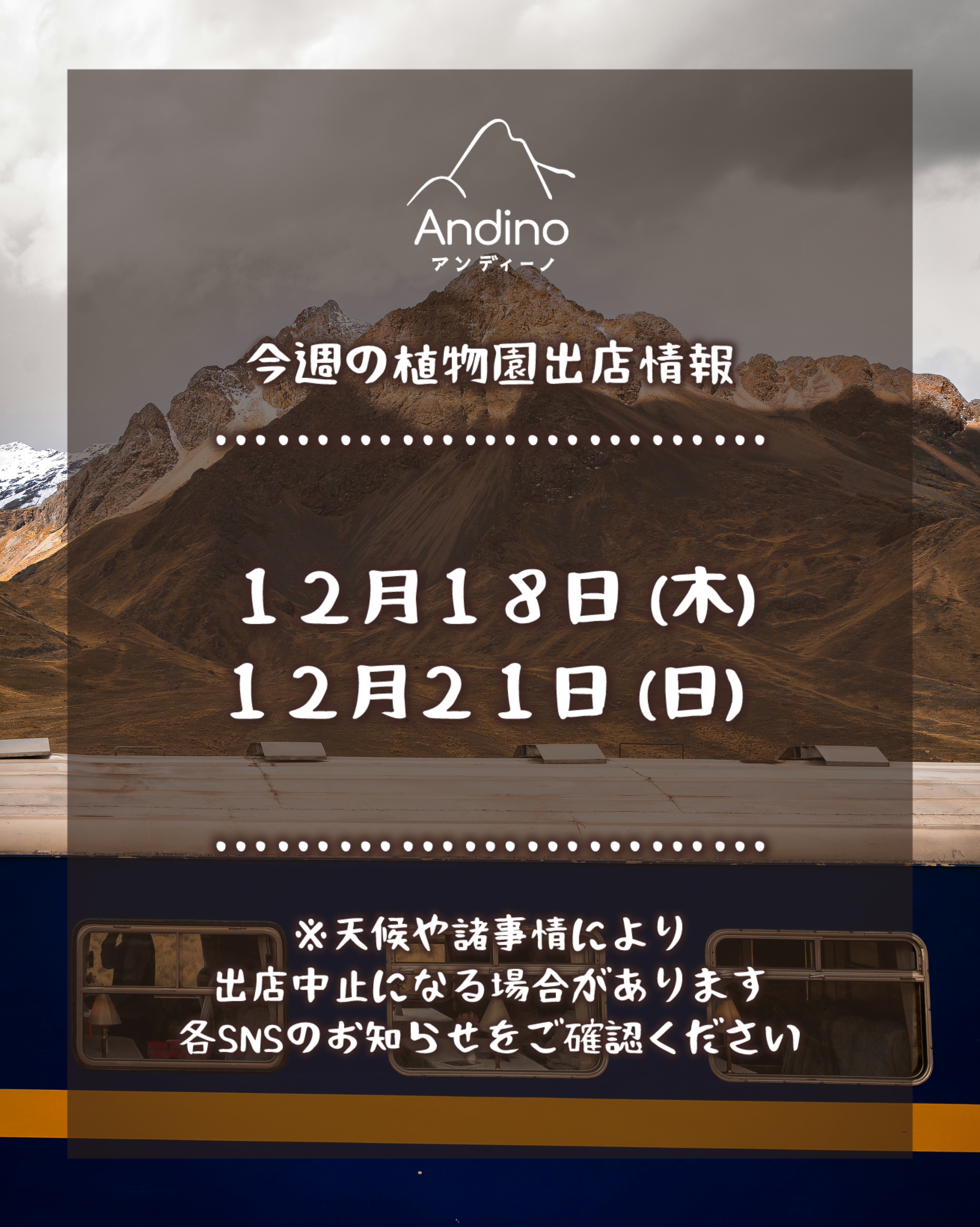 【📢今週の出店予定日のお知らせ🇵🇪12月18日(木)、21日(日)】