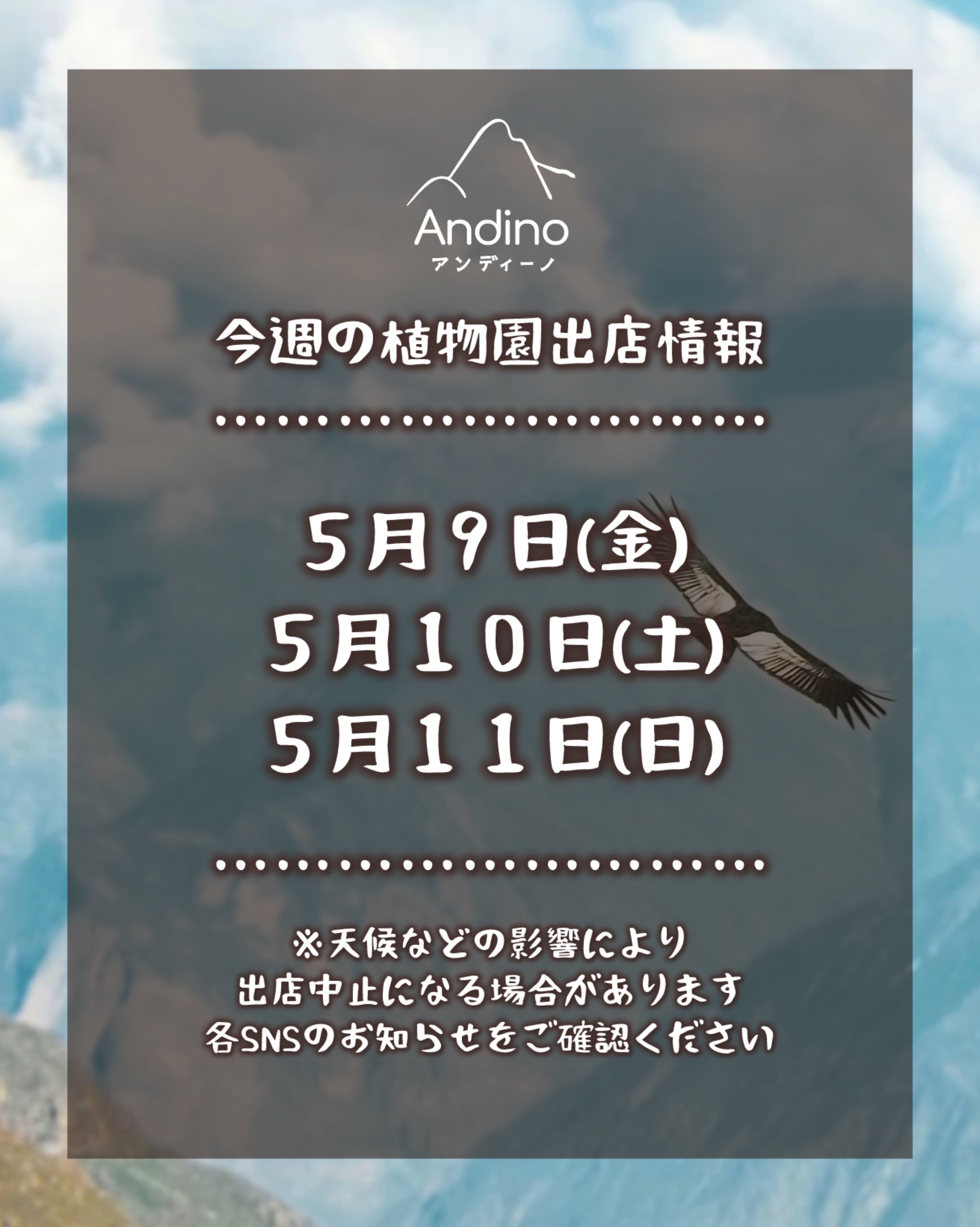 【📢今週の出店予定日のお知らせ🇵🇪5月9日(金)、10日(土)、11日(日)】