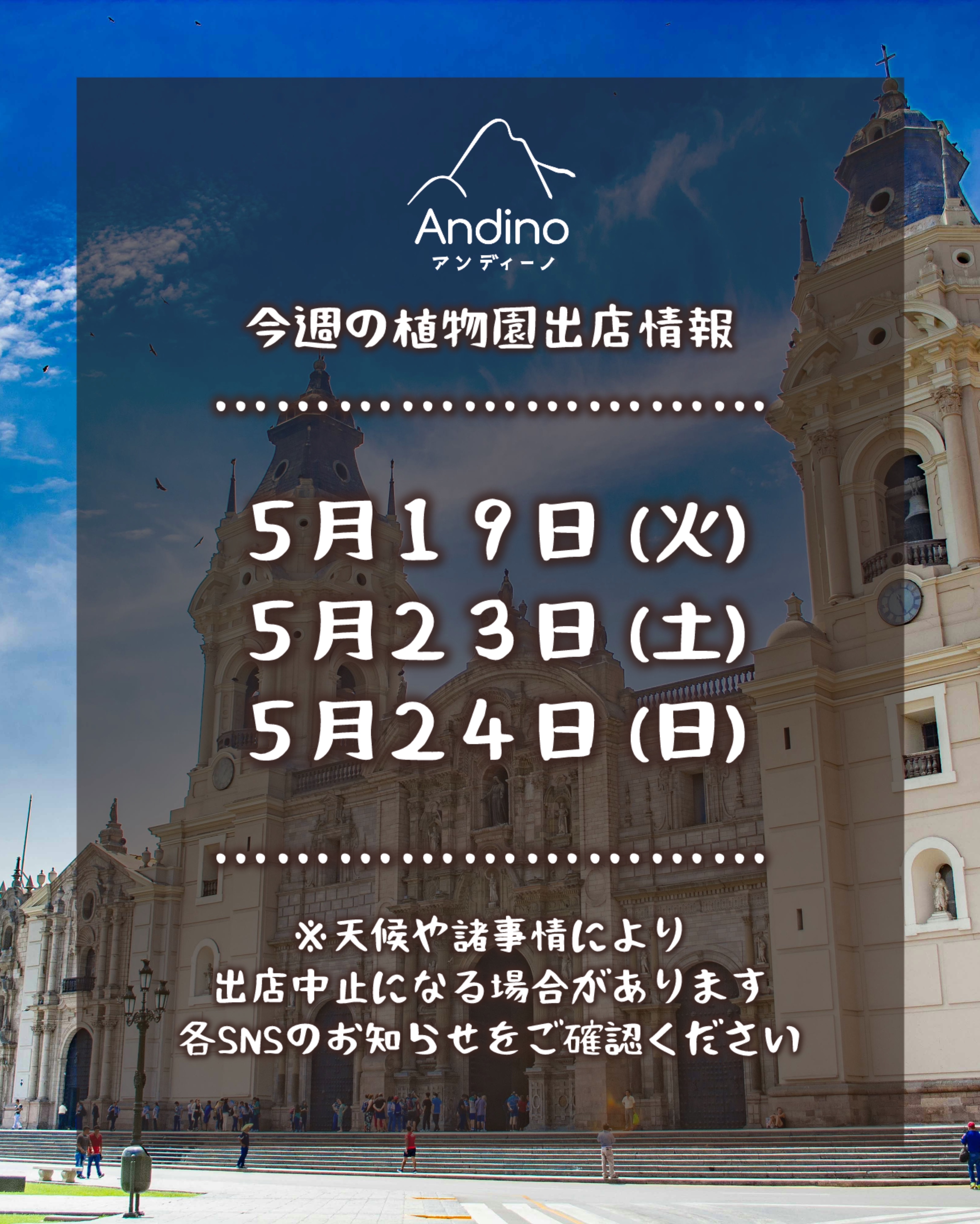 【📢今週の出店予定日のお知らせ🇵🇪5月19日(火)〜】