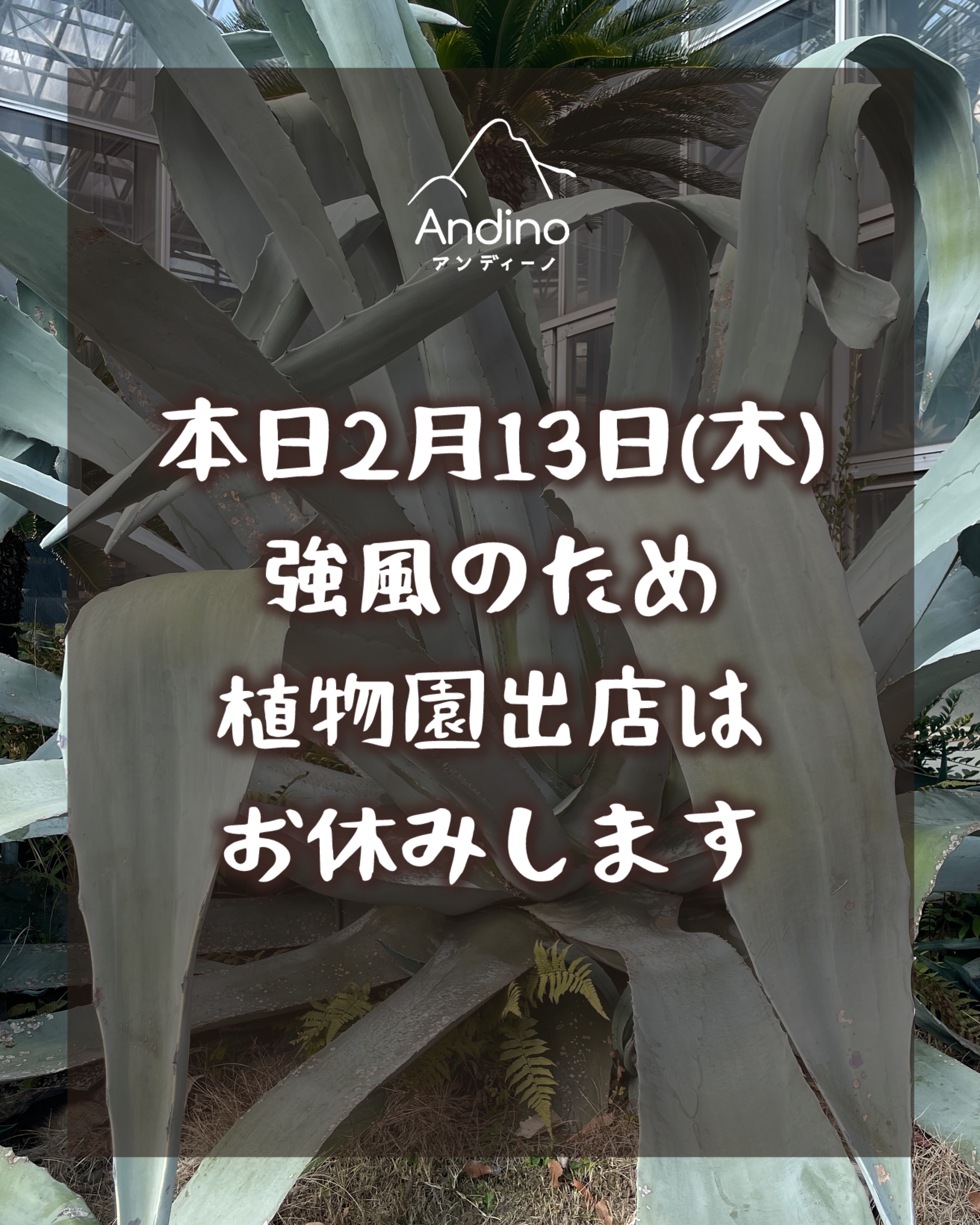 【⚠️2月13日(木)植物園出店お休みいたします】