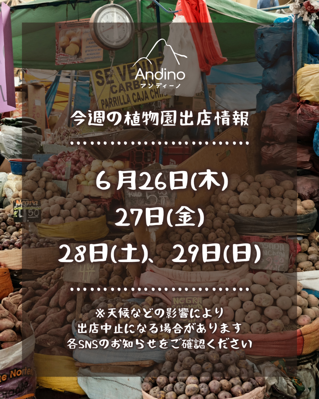 【📢今週の出店予定日のお知らせ🇵🇪6月26日(木)〜29日(日)】