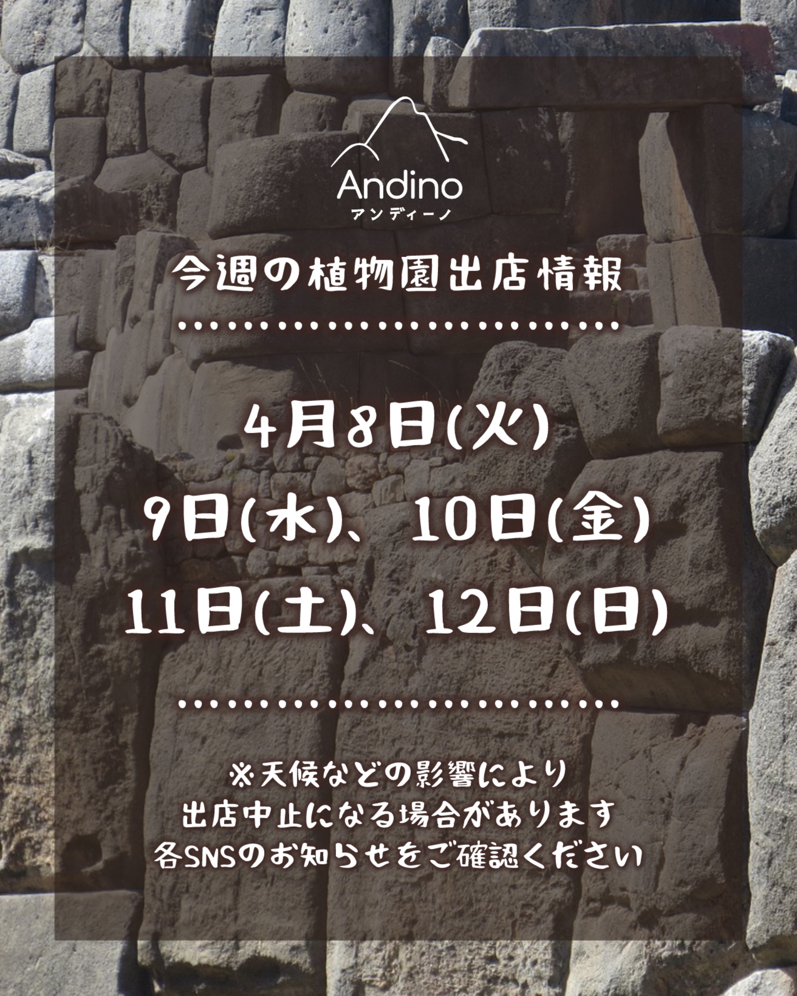 【📢今週の出店予定日のお知らせ🇵🇪4月8日(火)〜13日(日)】