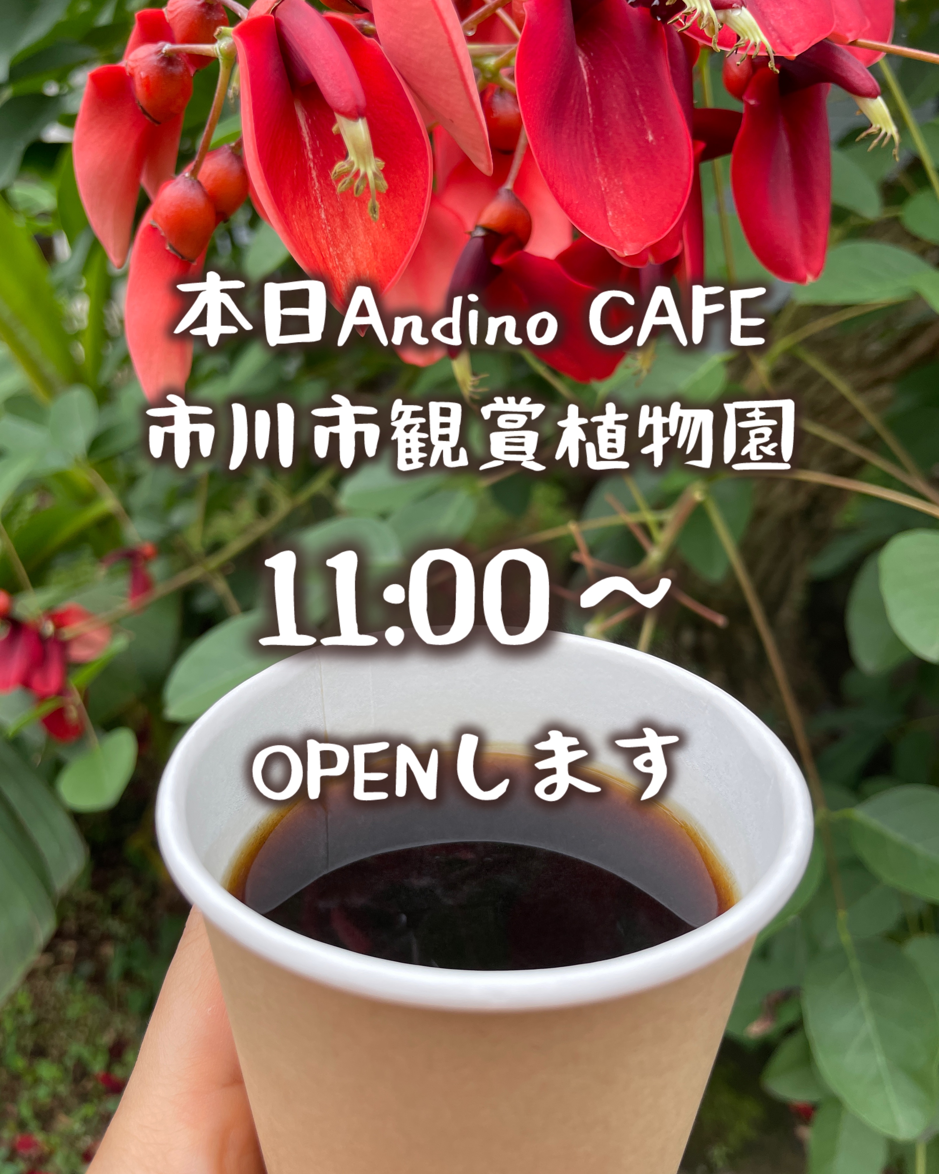 【📢本日1月25日(土)の出店時間のお知らせ🇵🇪】