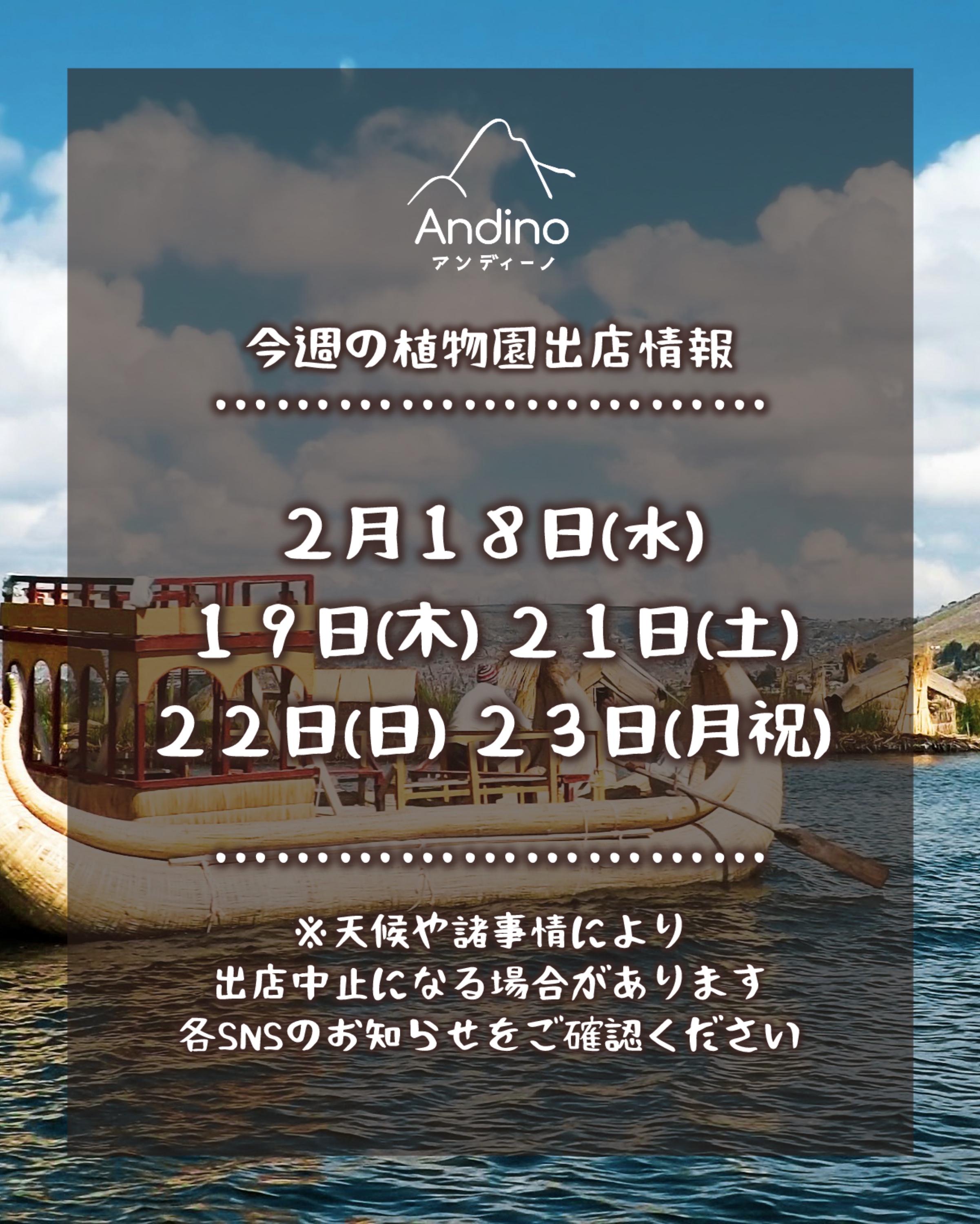 【📢今週の出店予定日のお知らせ🇵🇪2月18日(水)〜】