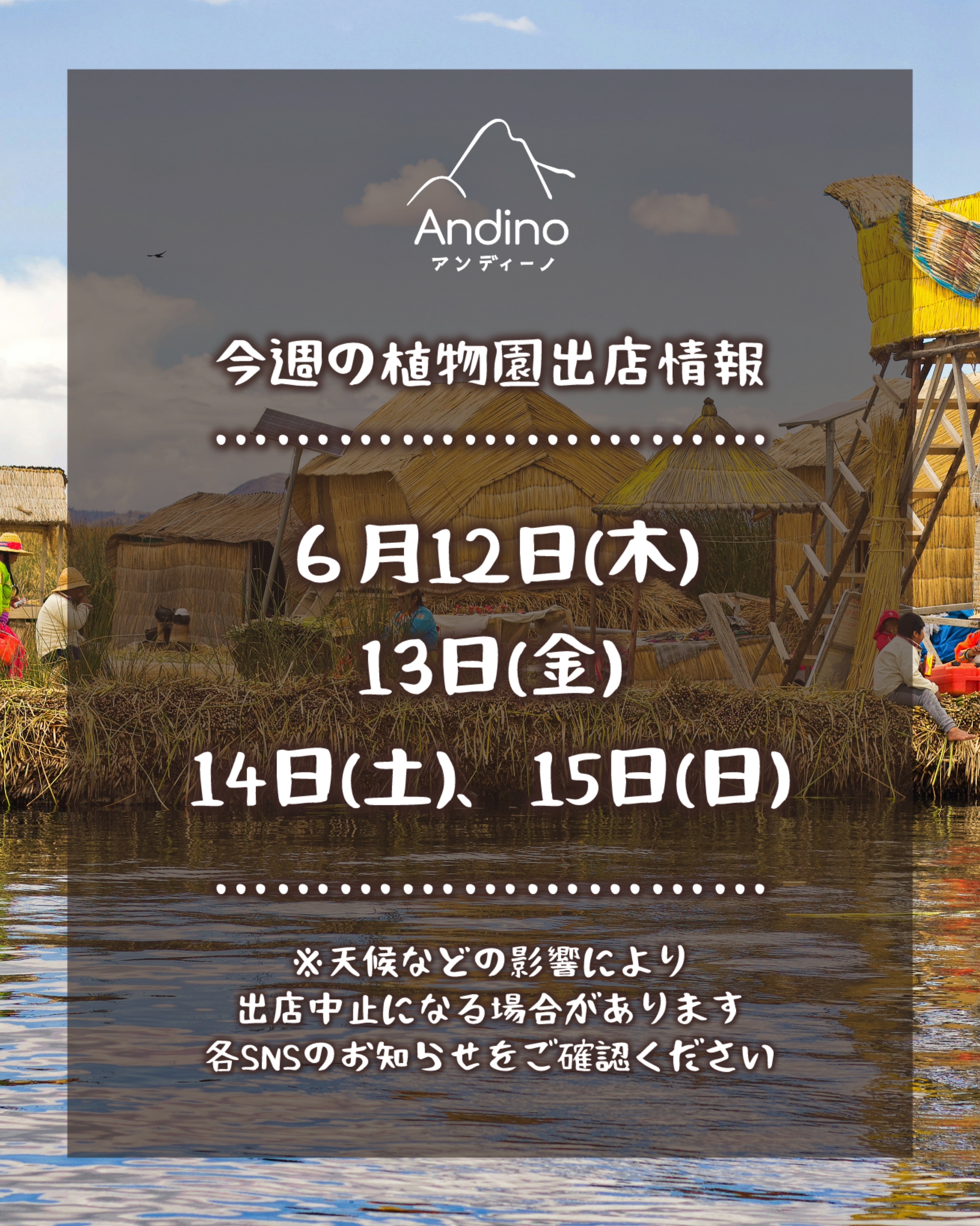 【📢今週の出店予定日のお知らせ🇵🇪6月12日(木)〜15日(日)】