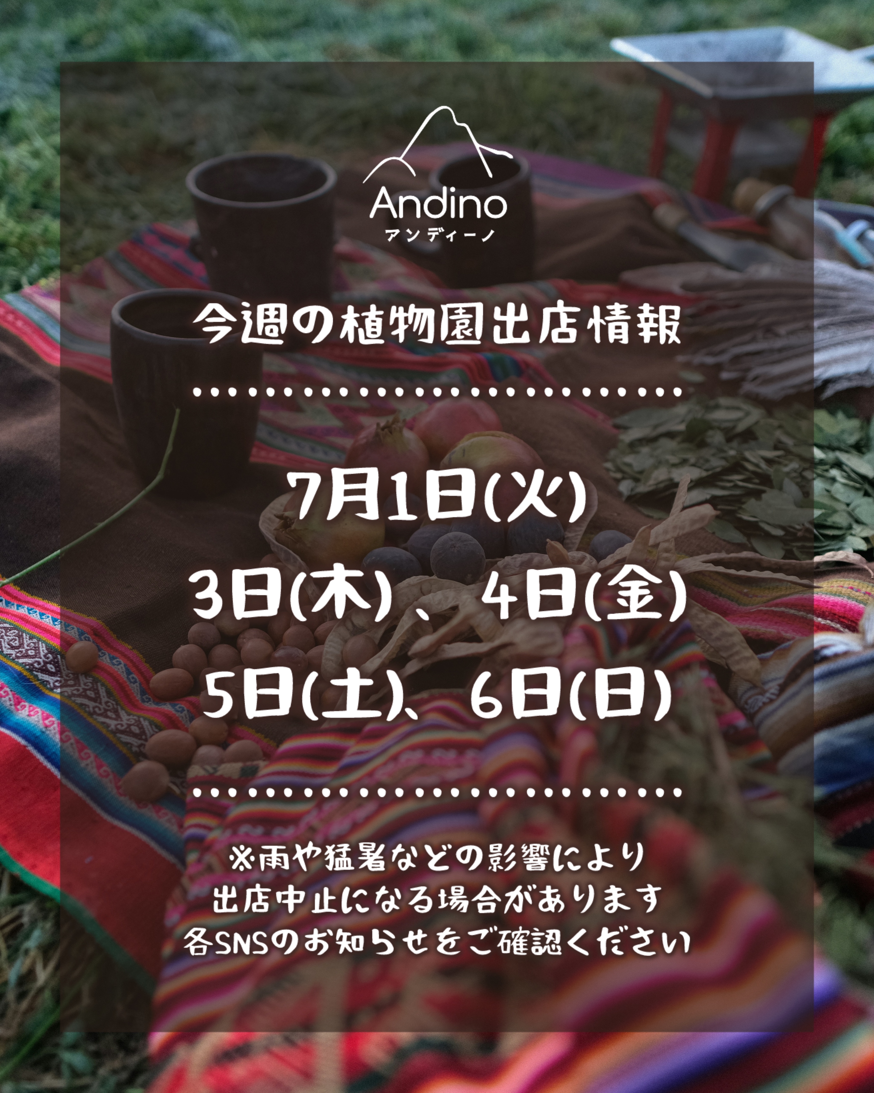 【📢今週の出店予定日のお知らせ🇵🇪7月1日(火)〜6日(日)】