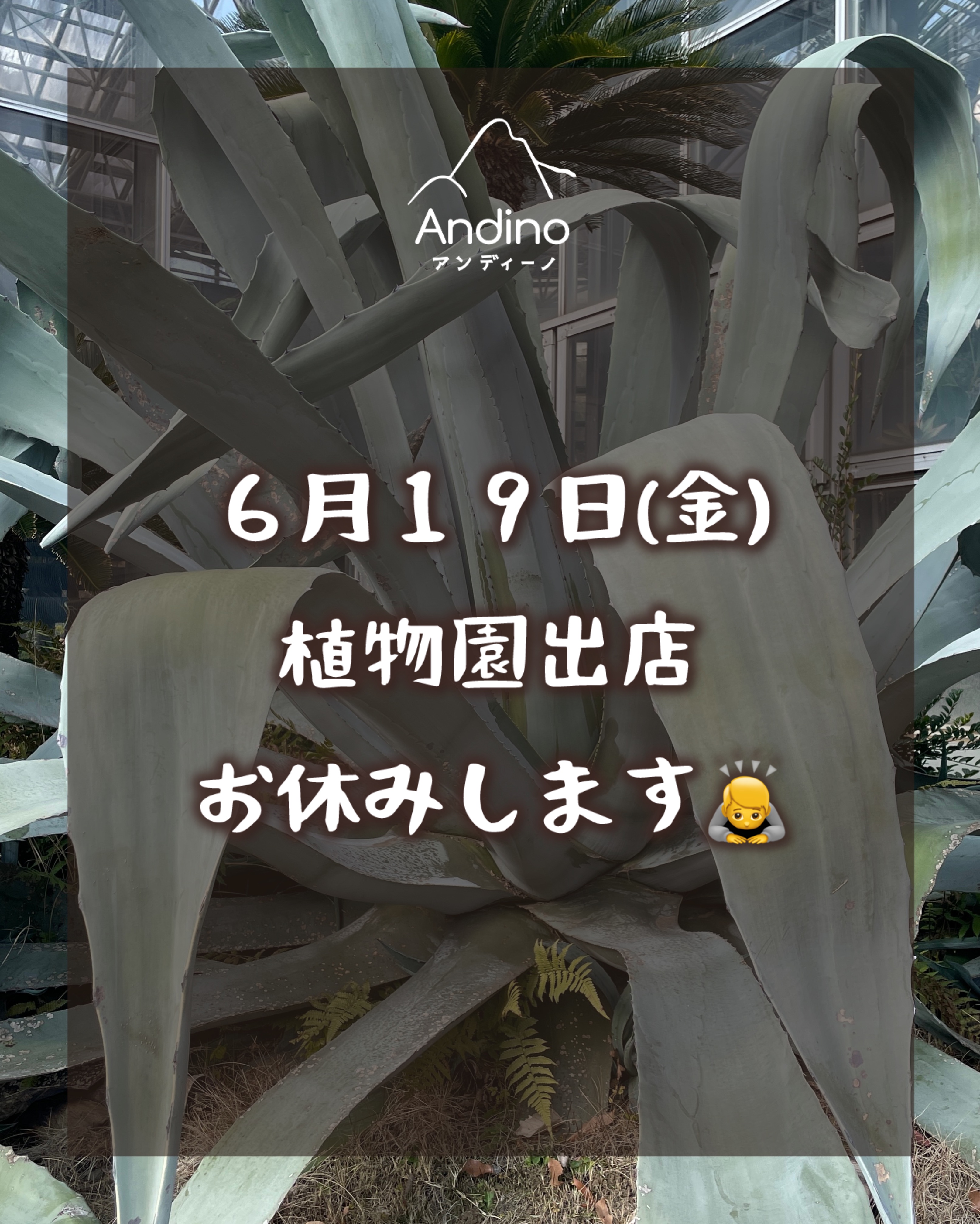 【⚠️本日6/19(金)出店お休みのお知らせ】