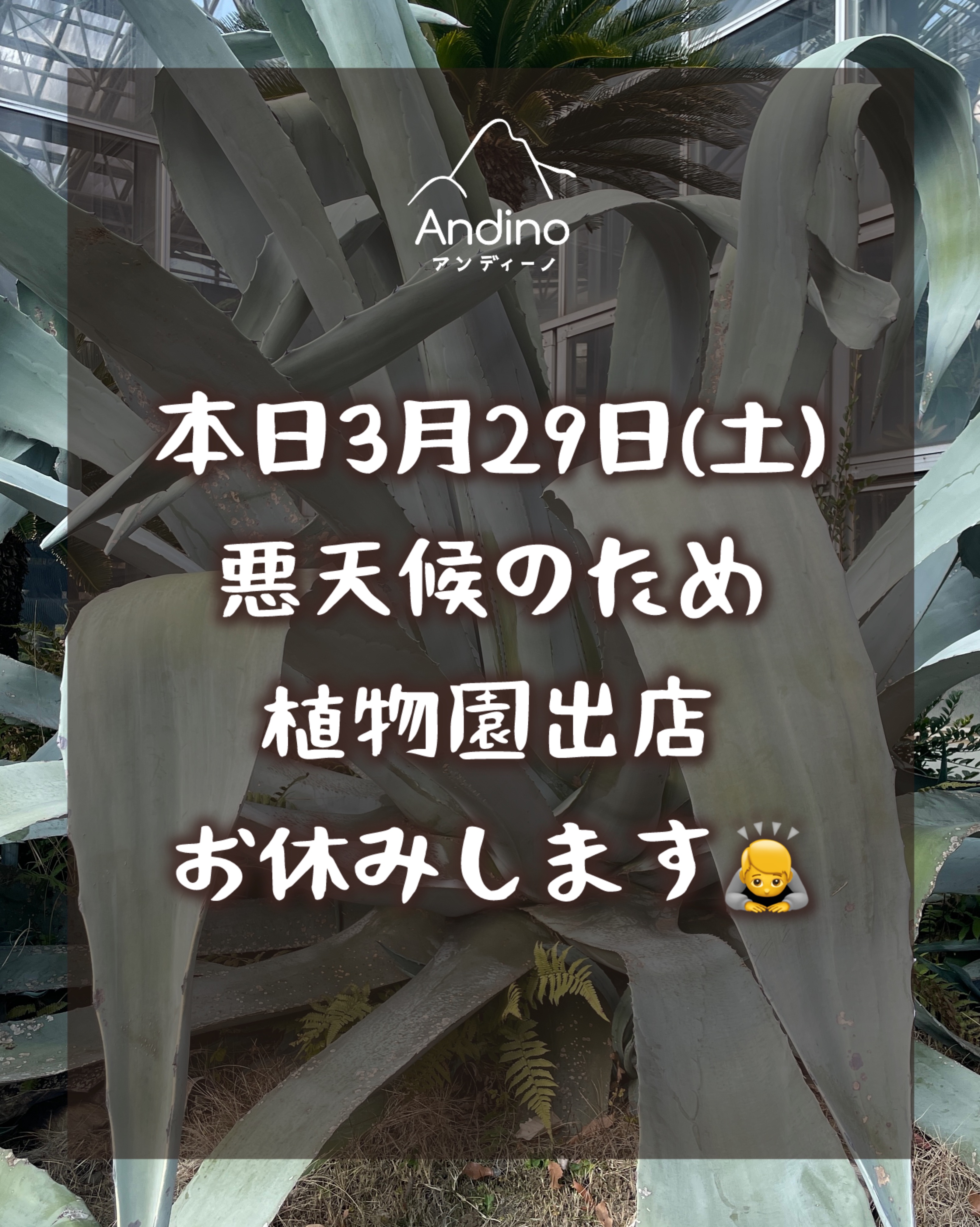 【⚠️3月29日(土) 植物園出店お休みのお知らせ】