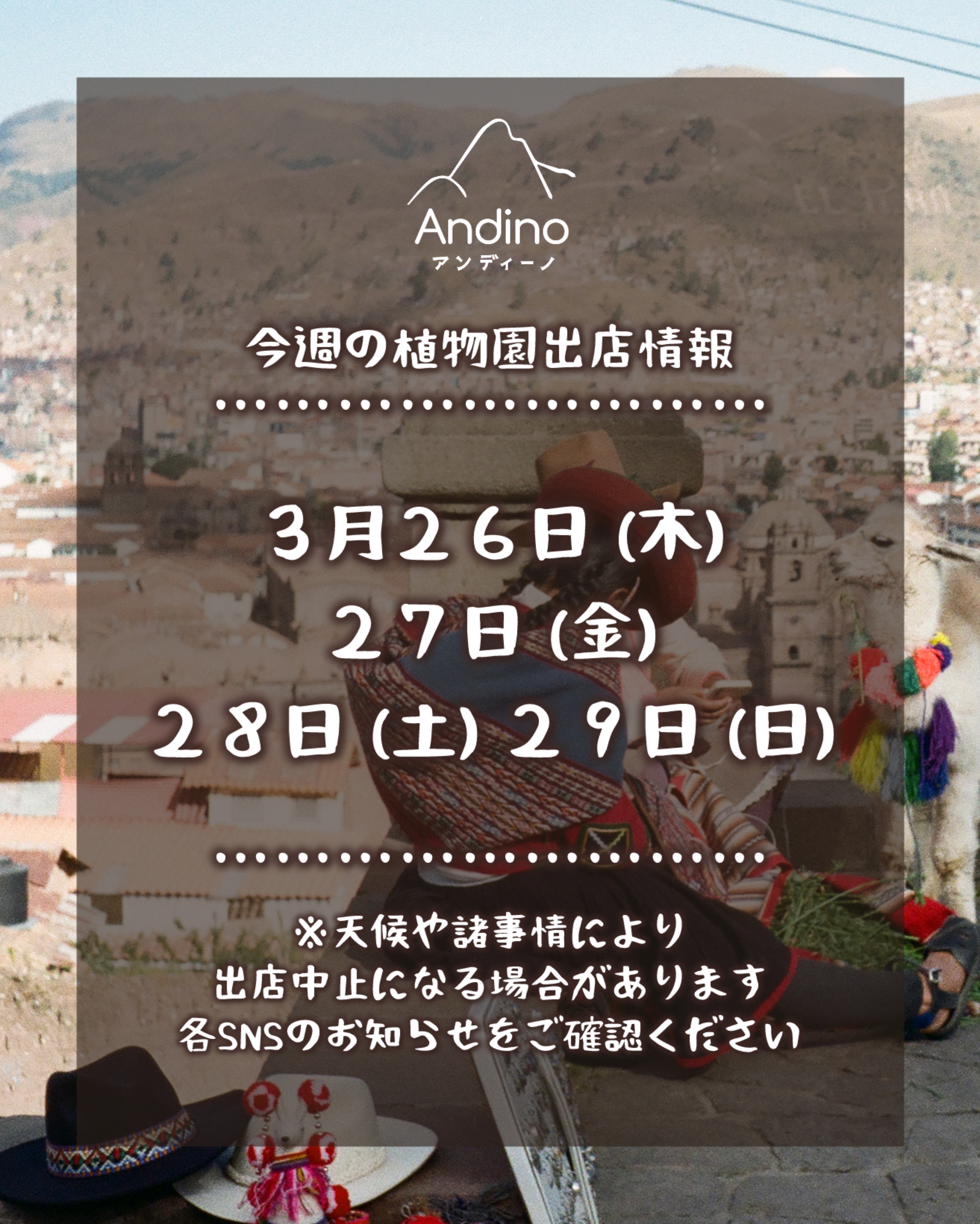 【📢今週の出店予定日のお知らせ🇵🇪3月26日(木)〜】