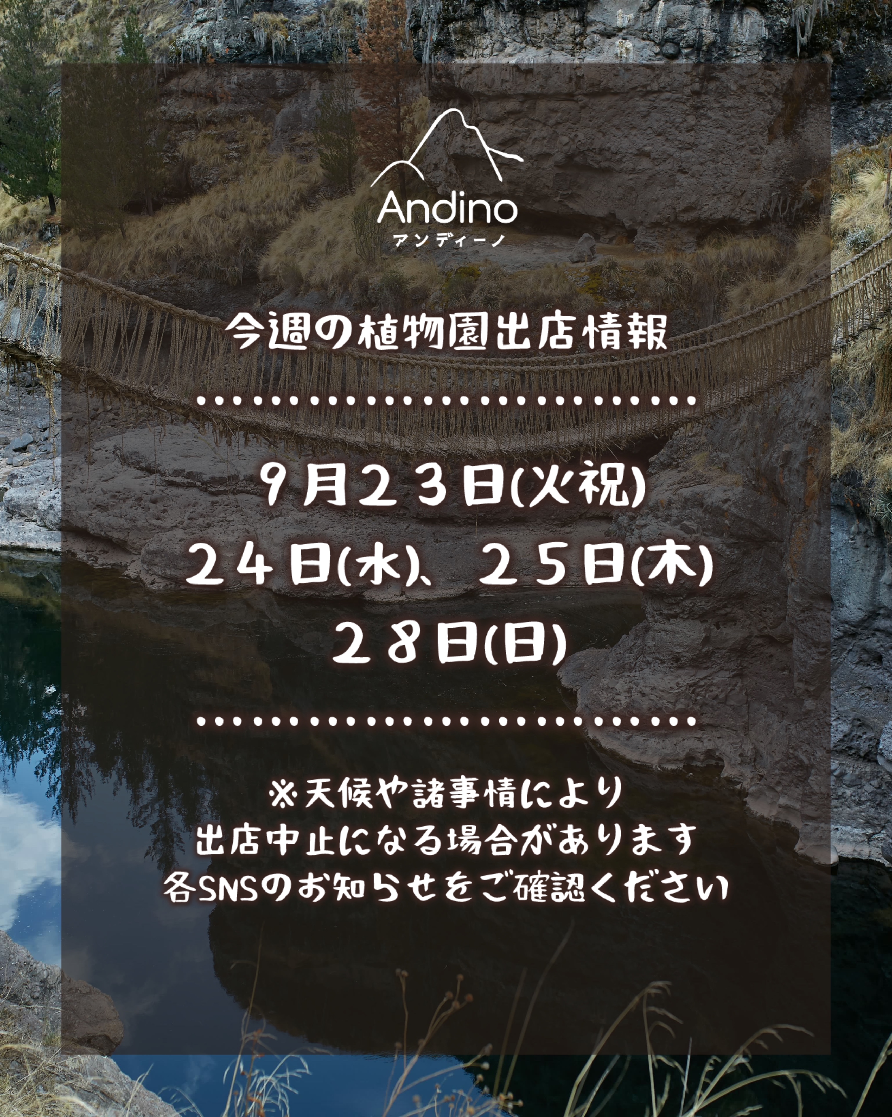 【📢今週の出店予定日のお知らせ🇵🇪9月23日(火祝)〜28日(日)】