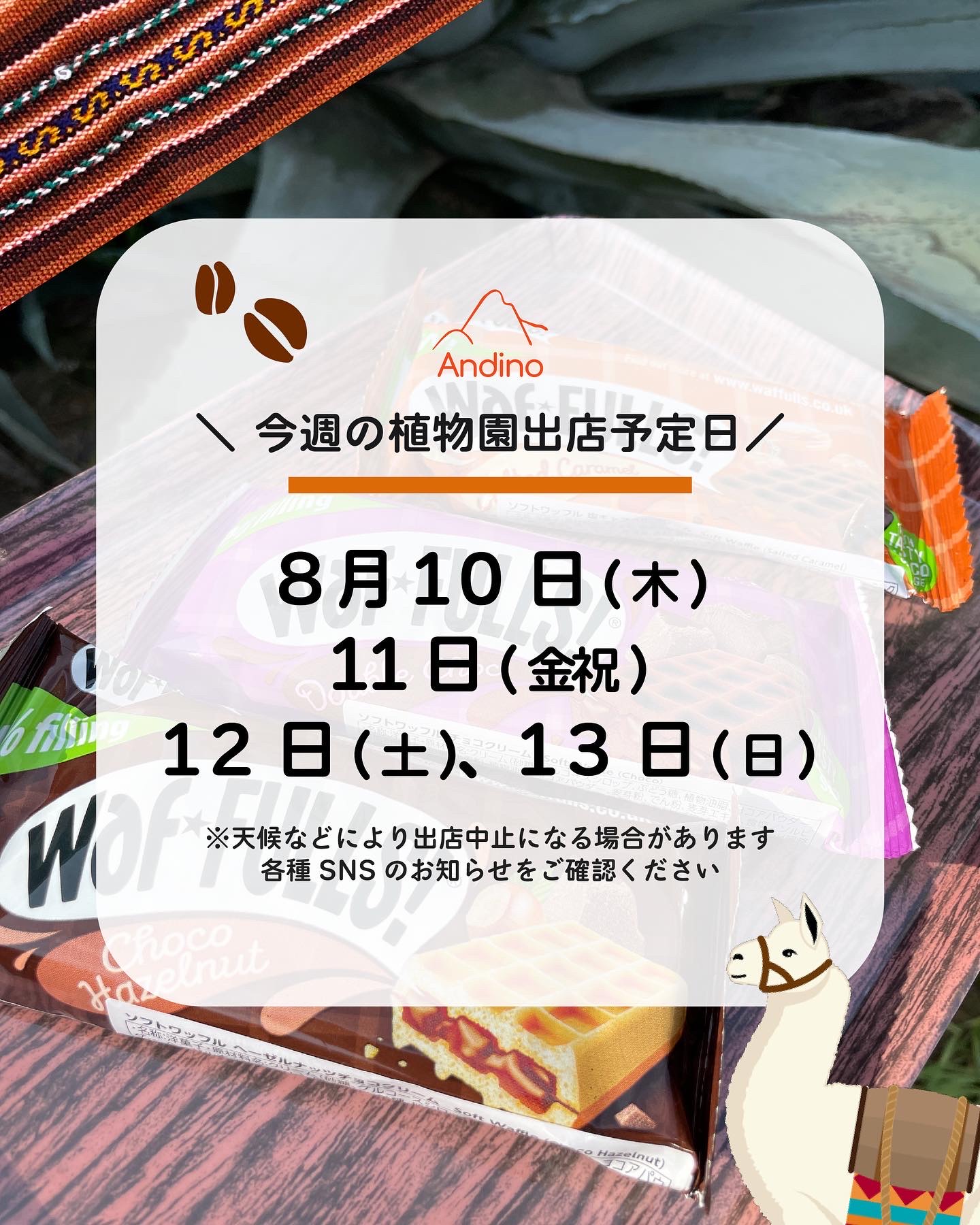 【📢今週の出店予定日のお知らせ🇵🇪8月10日(木)〜13日(日)】