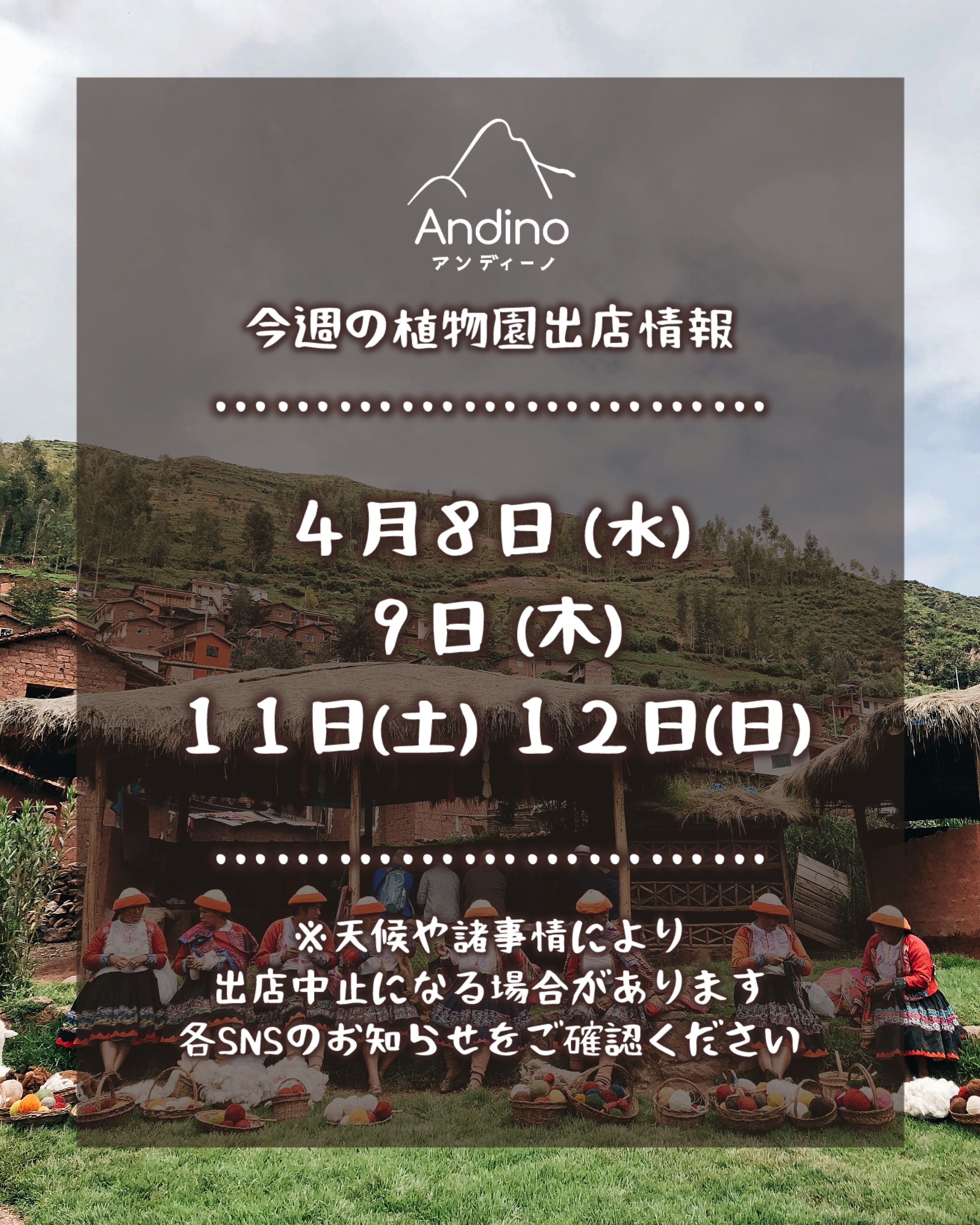 【📢今週の出店予定日のお知らせ🇵🇪4月8日(水)〜】
