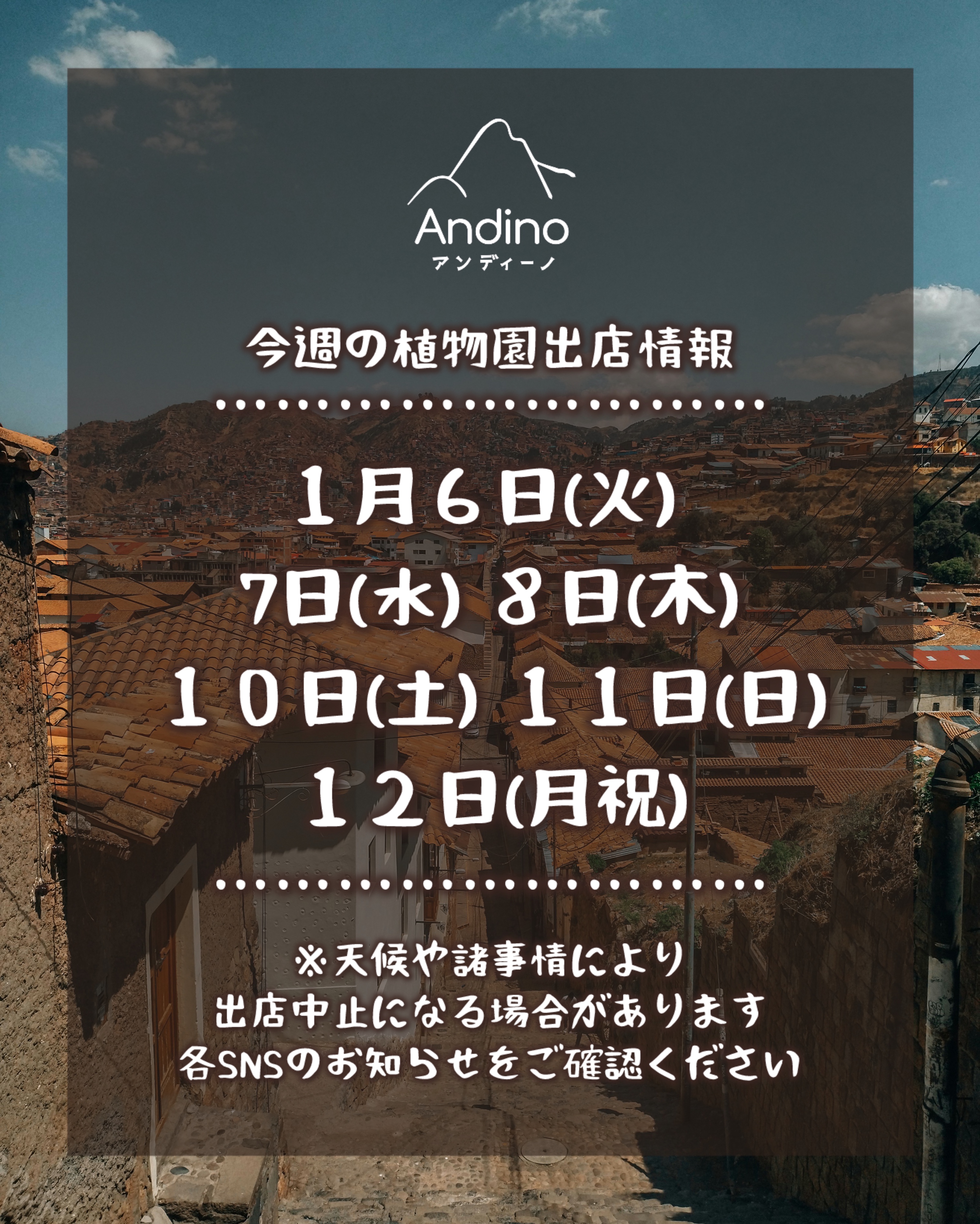 【📢今週の出店予定日のお知らせ🇵🇪1月6日(火)〜】