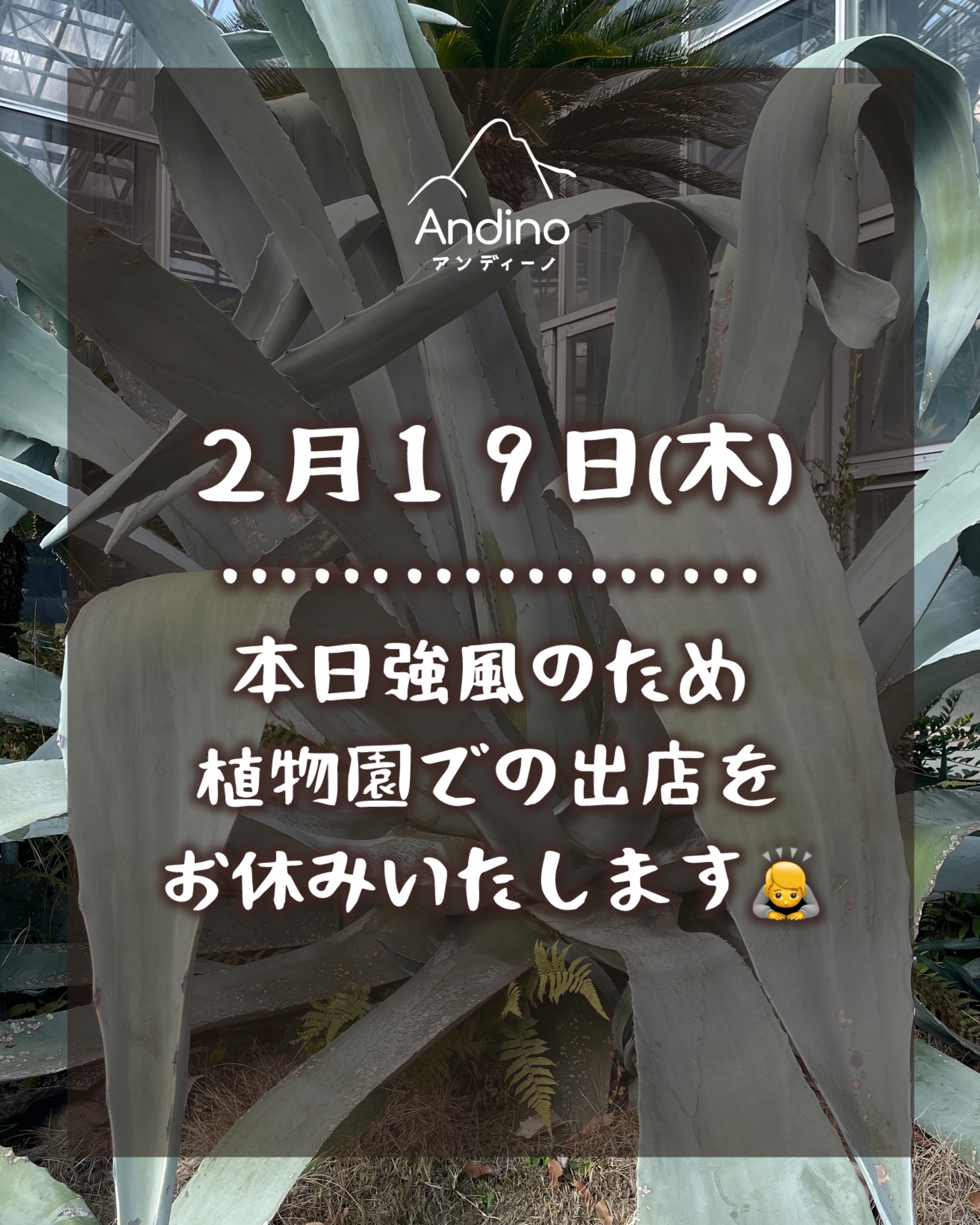【⚠️本日2月19日(木)の植物園出店について】