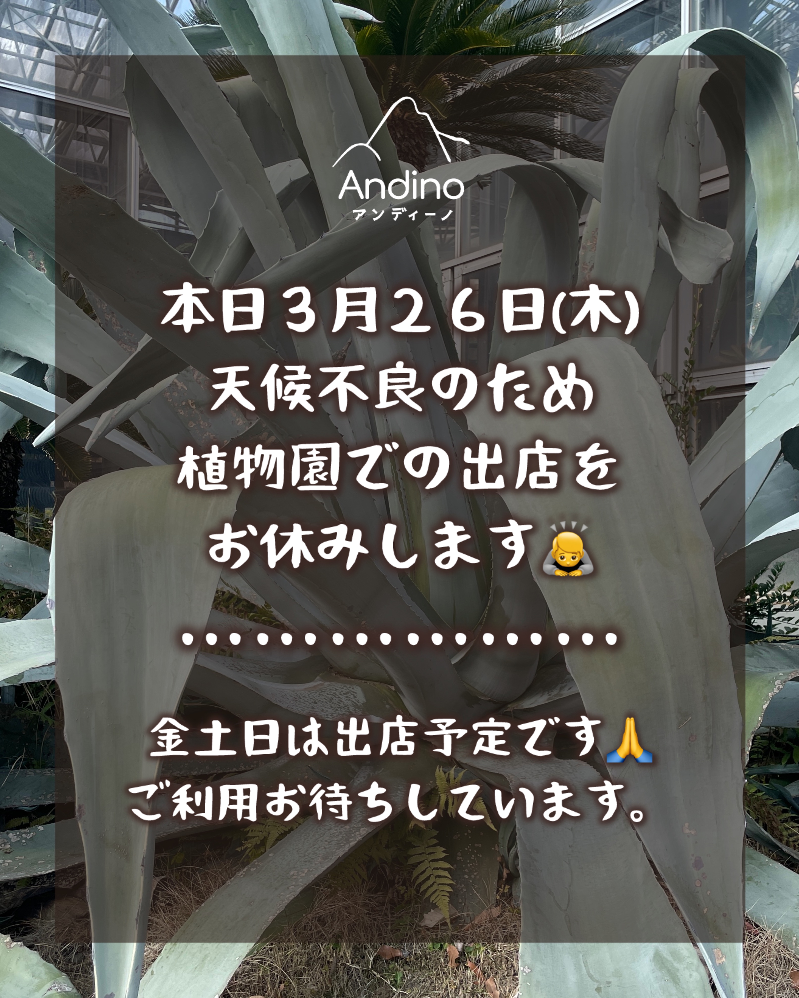 【⚠️3月26日(木)植物園出店お休みします】