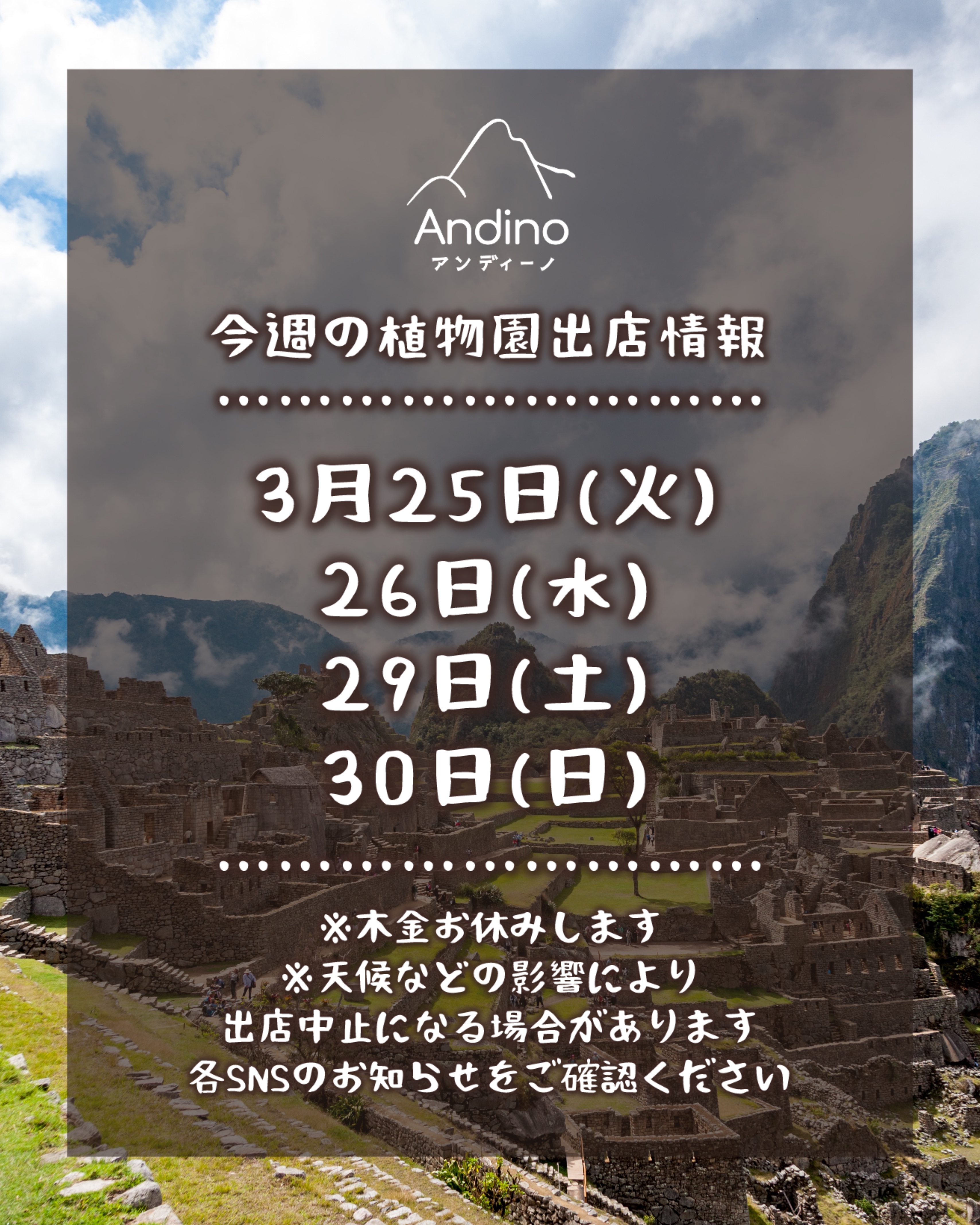 【📢今週の出店予定日のお知らせ🇵🇪3月25日(火)〜3月30日(日)】