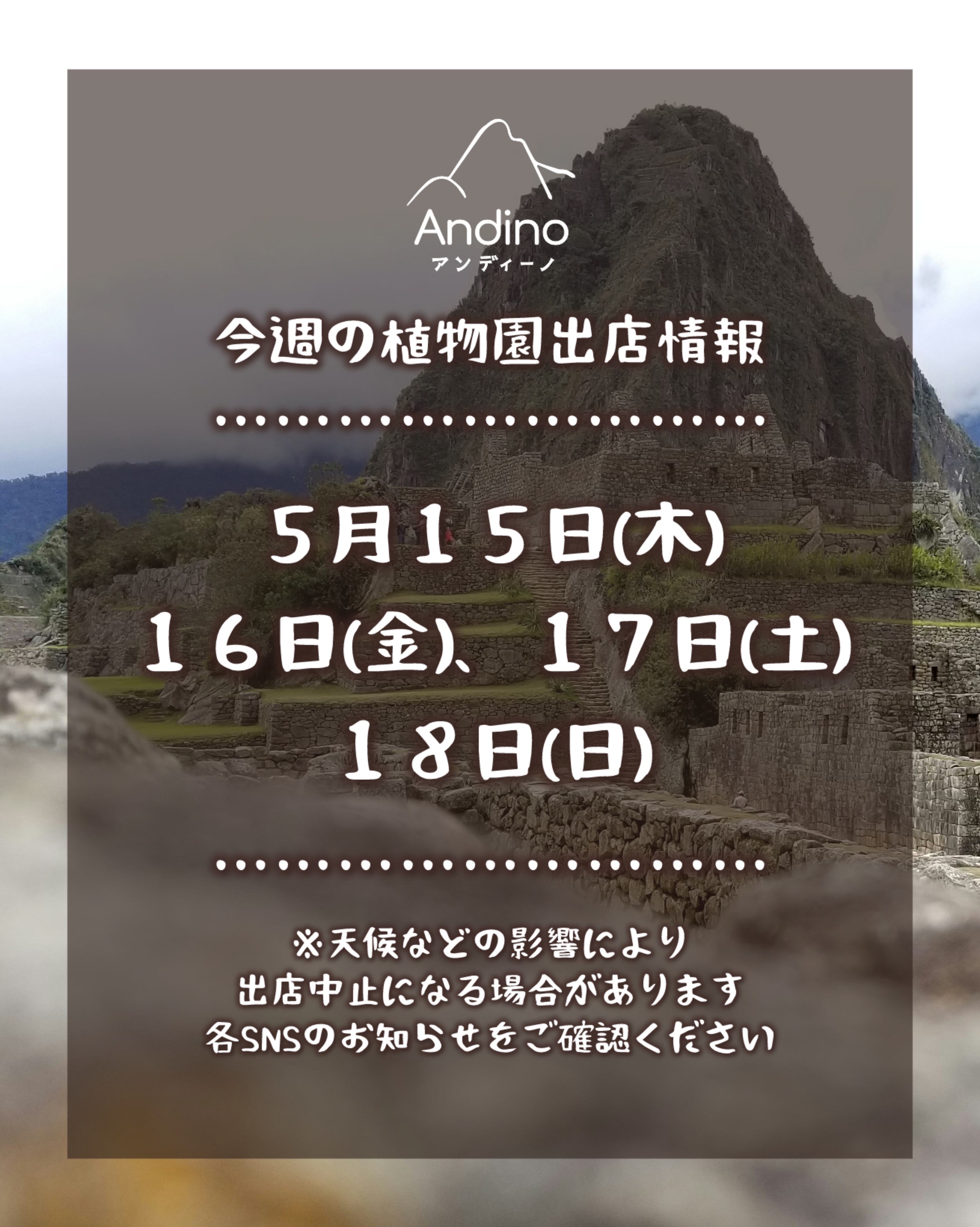 【📢今週の出店予定日のお知らせ🇵🇪5月15日(木)〜18日(日)】