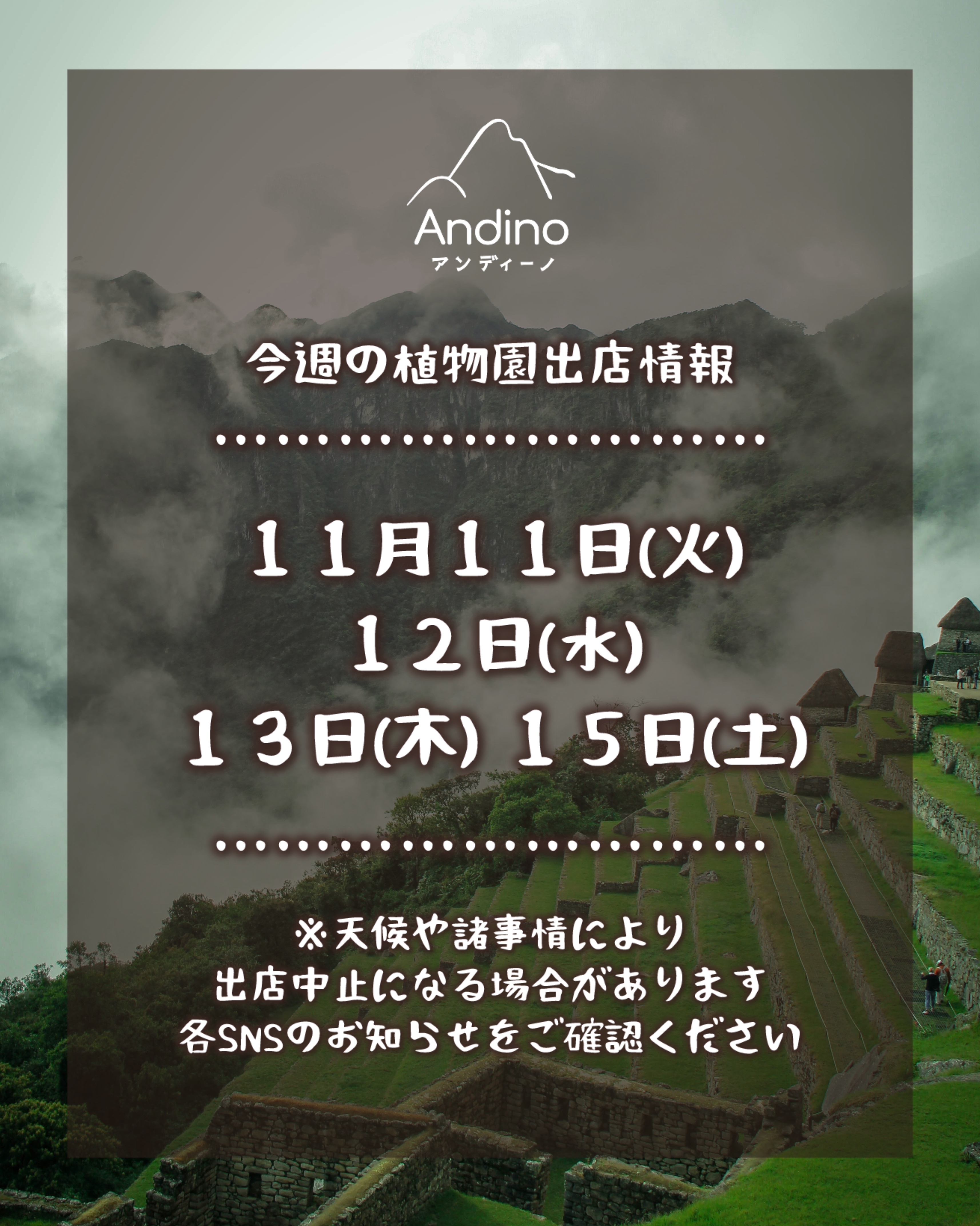 【📢今週の出店予定日のお知らせ🇵🇪11月11日(火)〜15日(土)】