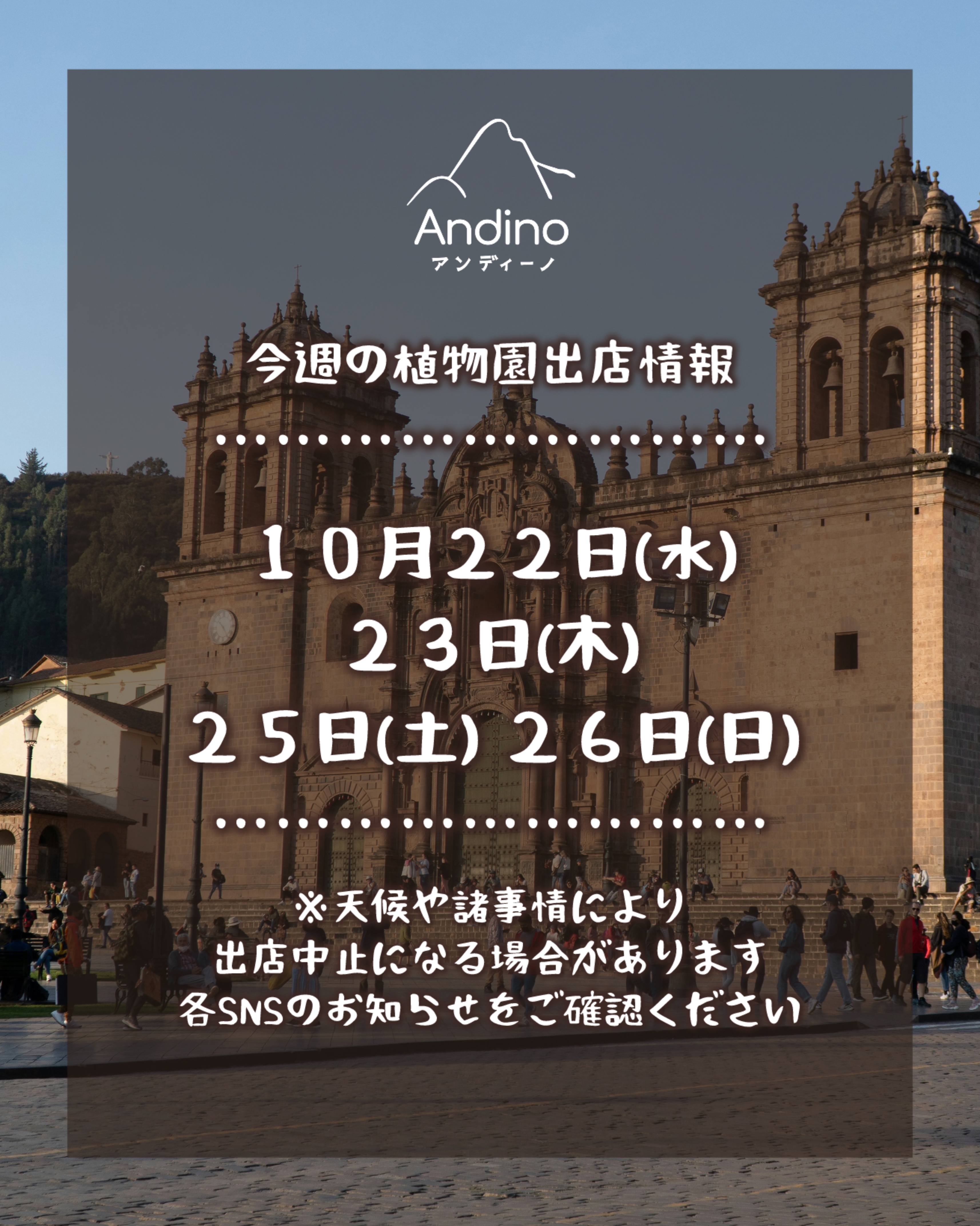 【📢今週の出店予定日のお知らせ🇵🇪10月22(水)/23(木)/25(土)/26(日)】