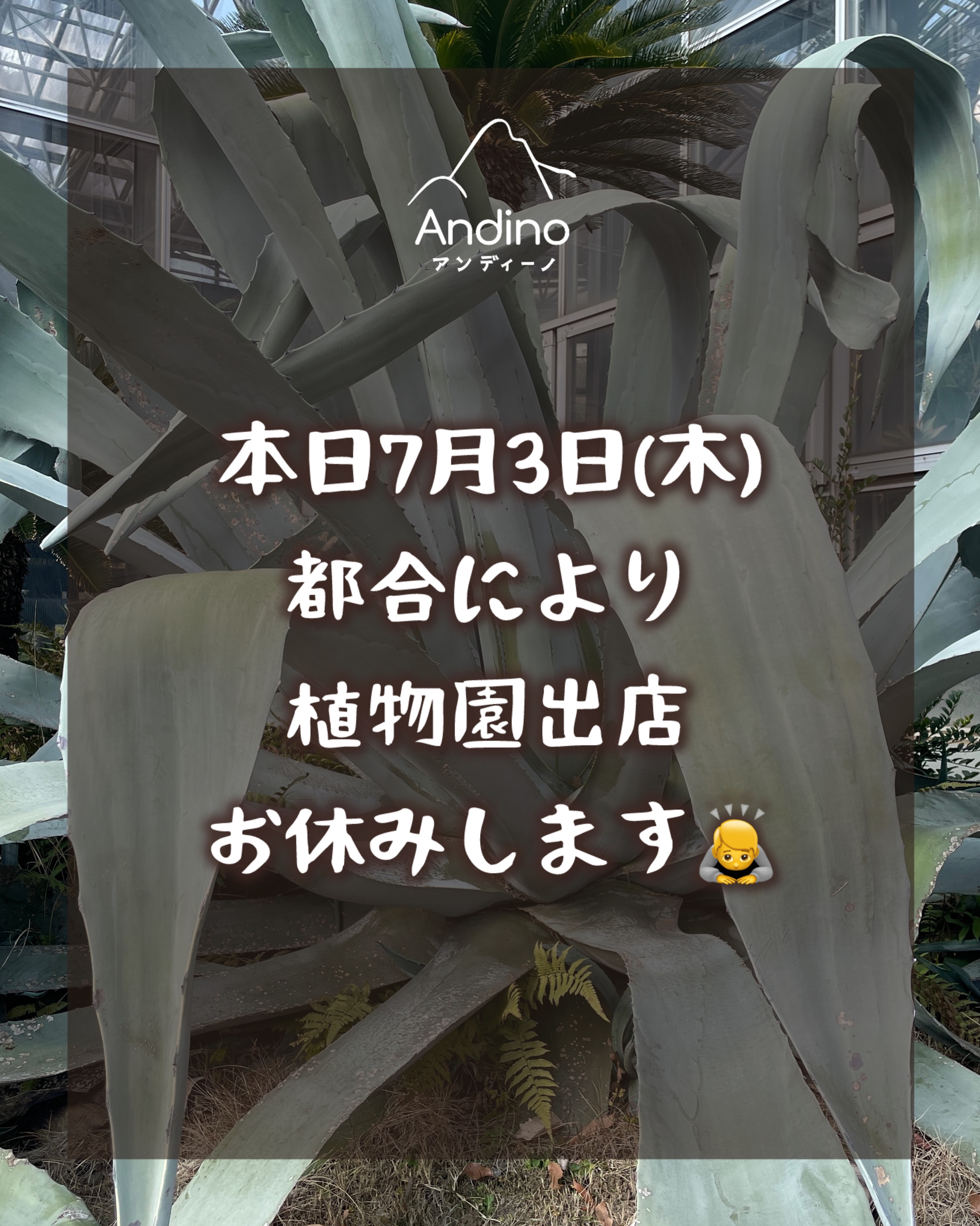 【⚠️7月3日(木) 植物園出店お休みのお知らせ】