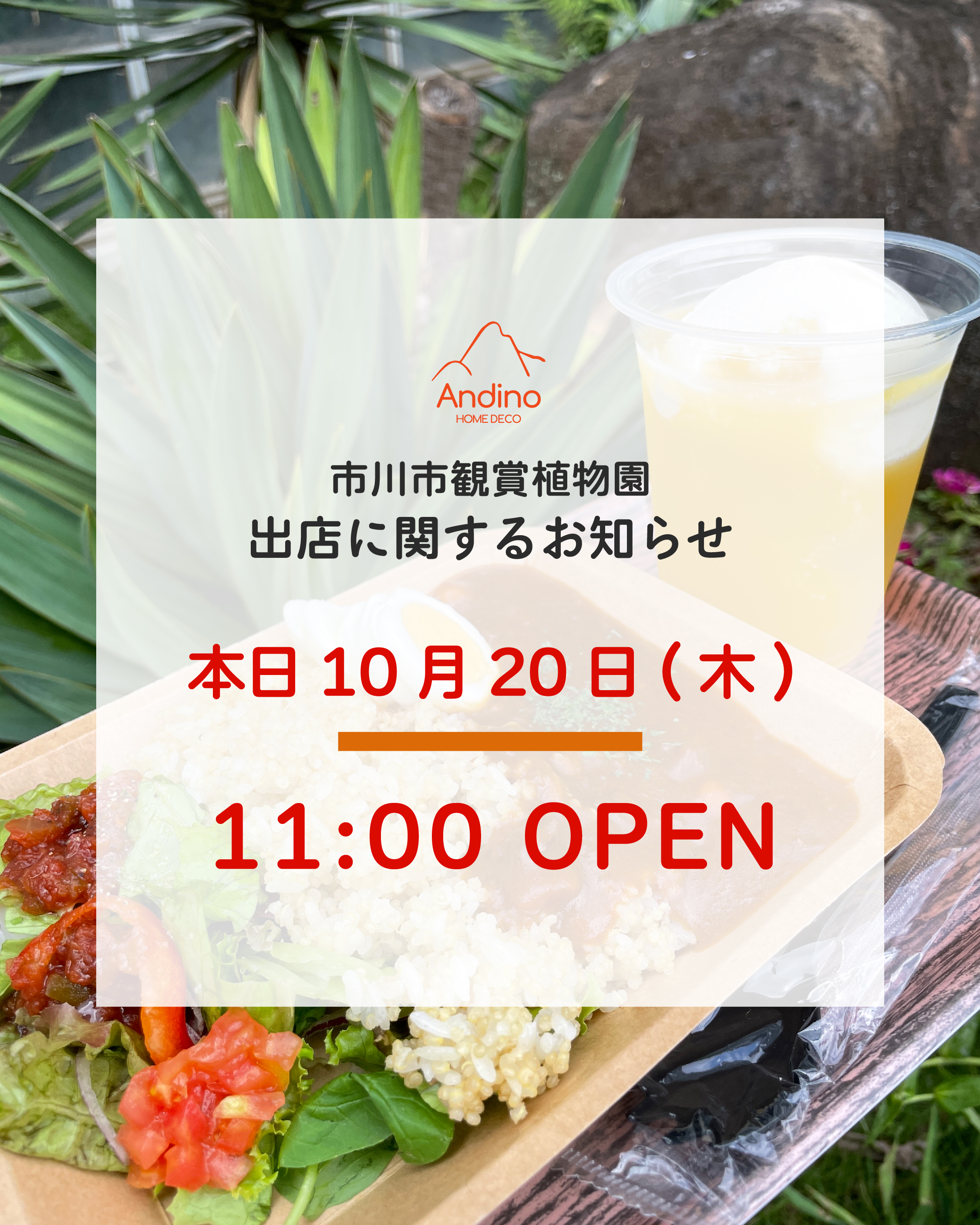 【📢本日10月20日(木)11:00 OPEN🇵🇪】