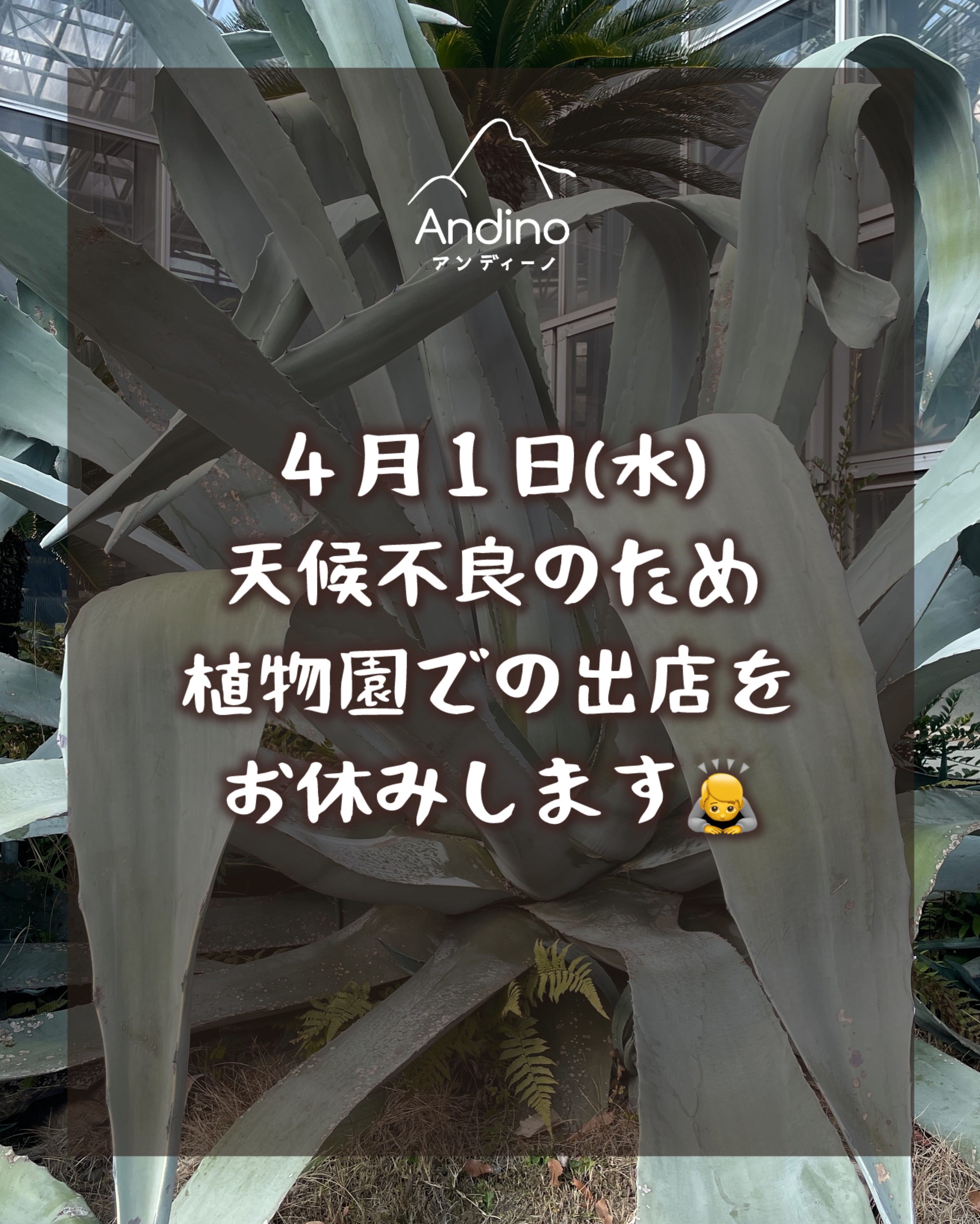 【⚠️4月1日(水) 植物園出店について】