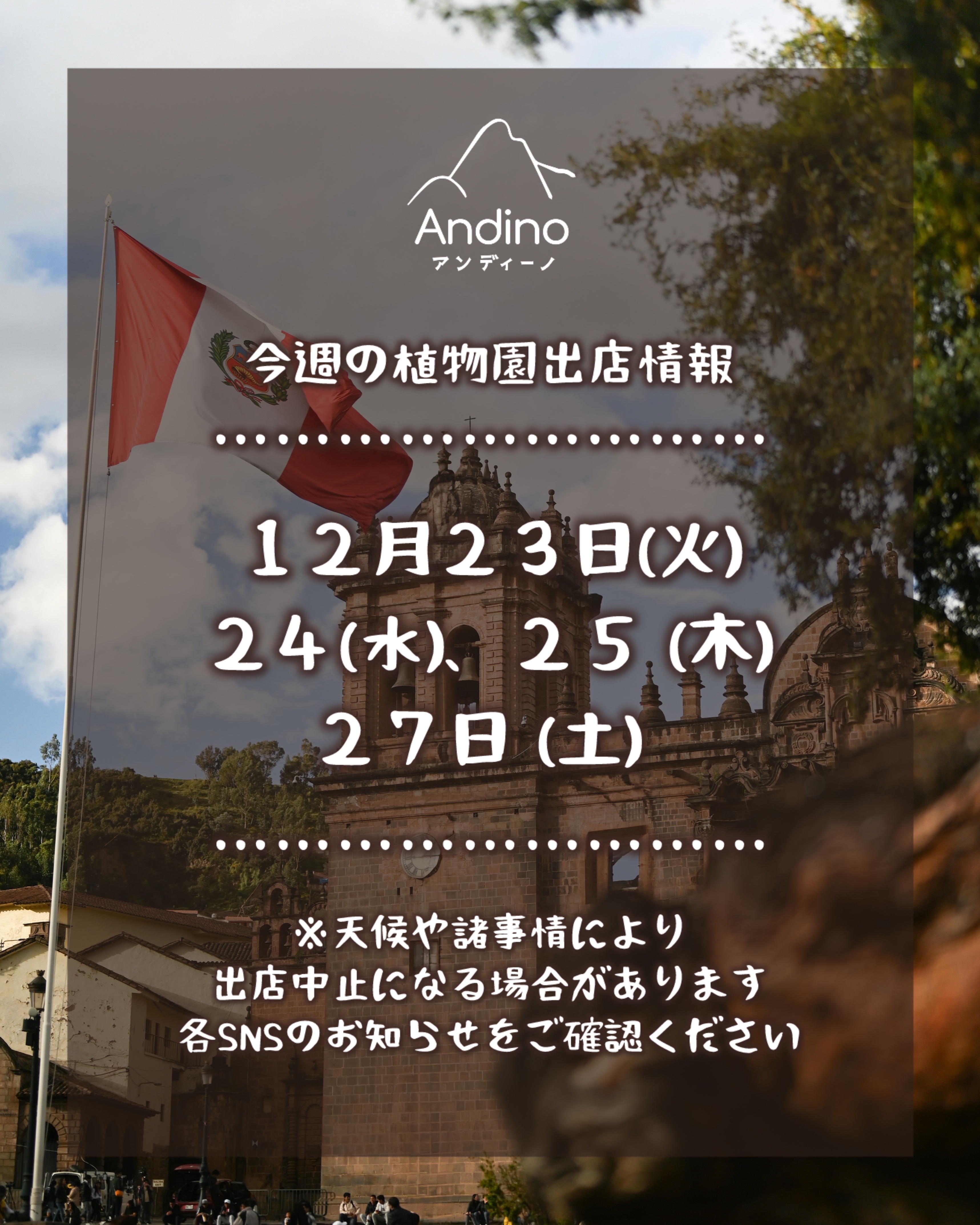 【📢今週の出店予定日のお知らせ🇵🇪12月23日(火)〜】