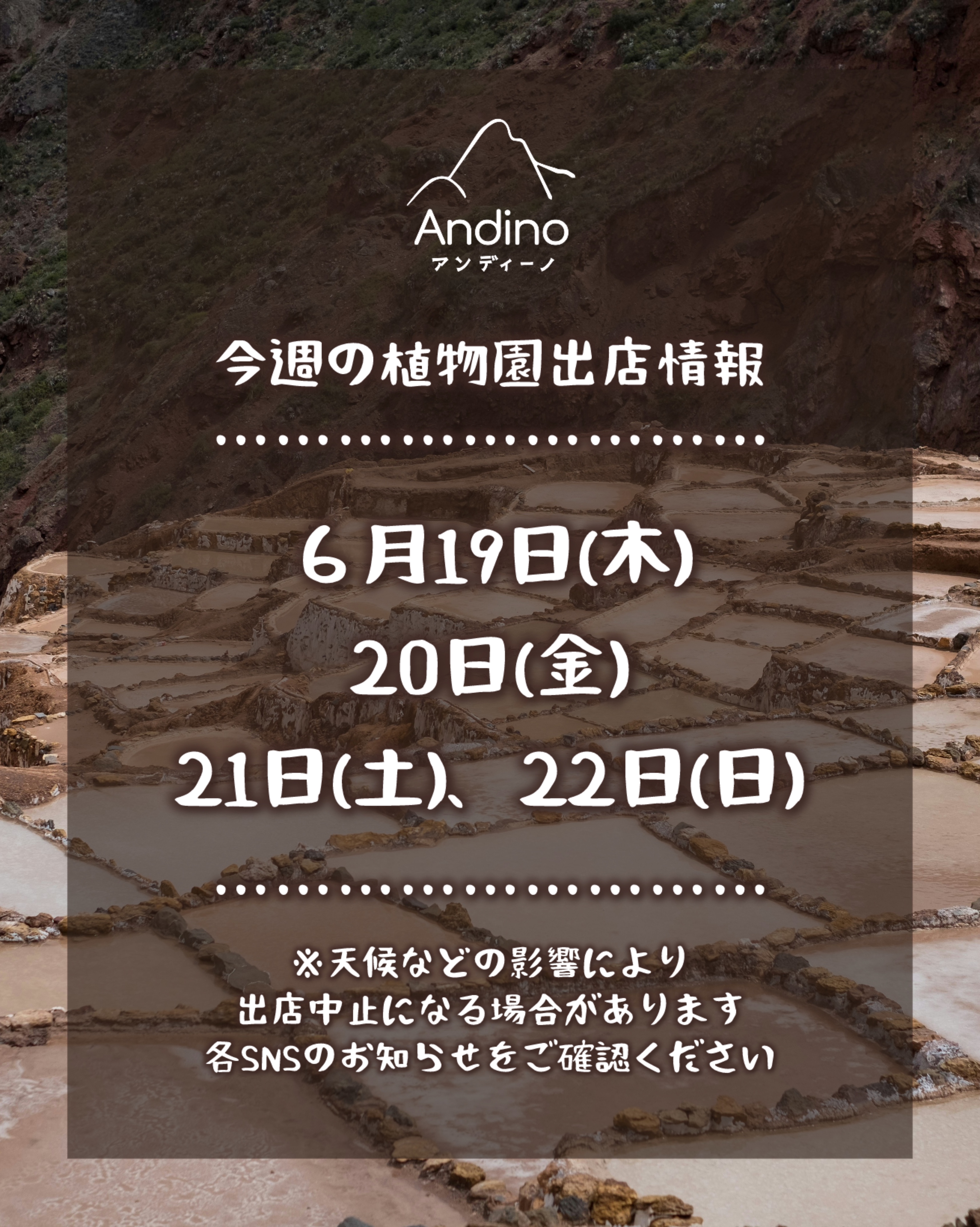【📢今週の出店予定日のお知らせ🇵🇪6月19日(木)〜22日(日)】