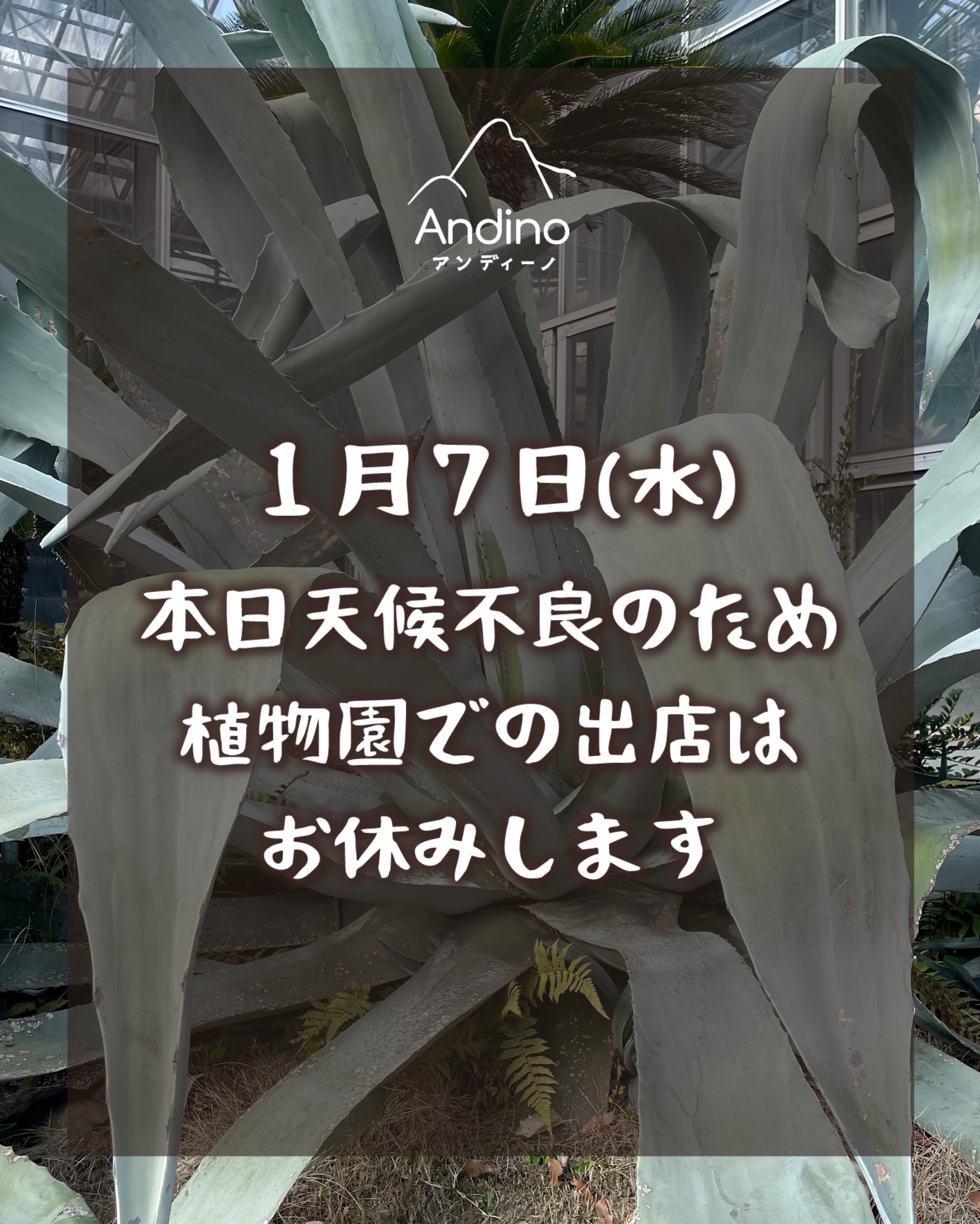 【⚠️1月7日(水)植物園出店お休みのお知らせ】