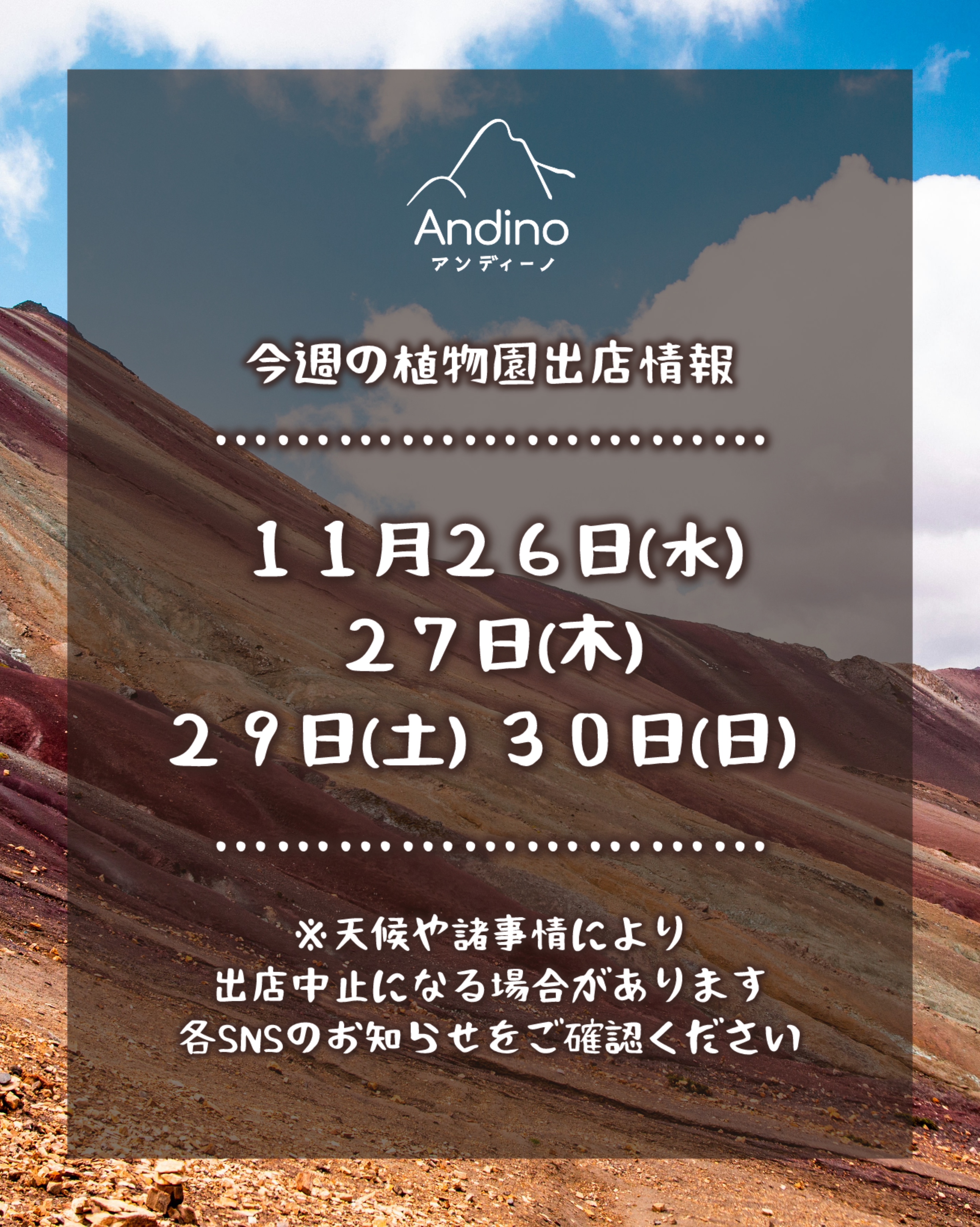 【📢今週の出店予定日のお知らせ🇵🇪11月26日(水)〜】