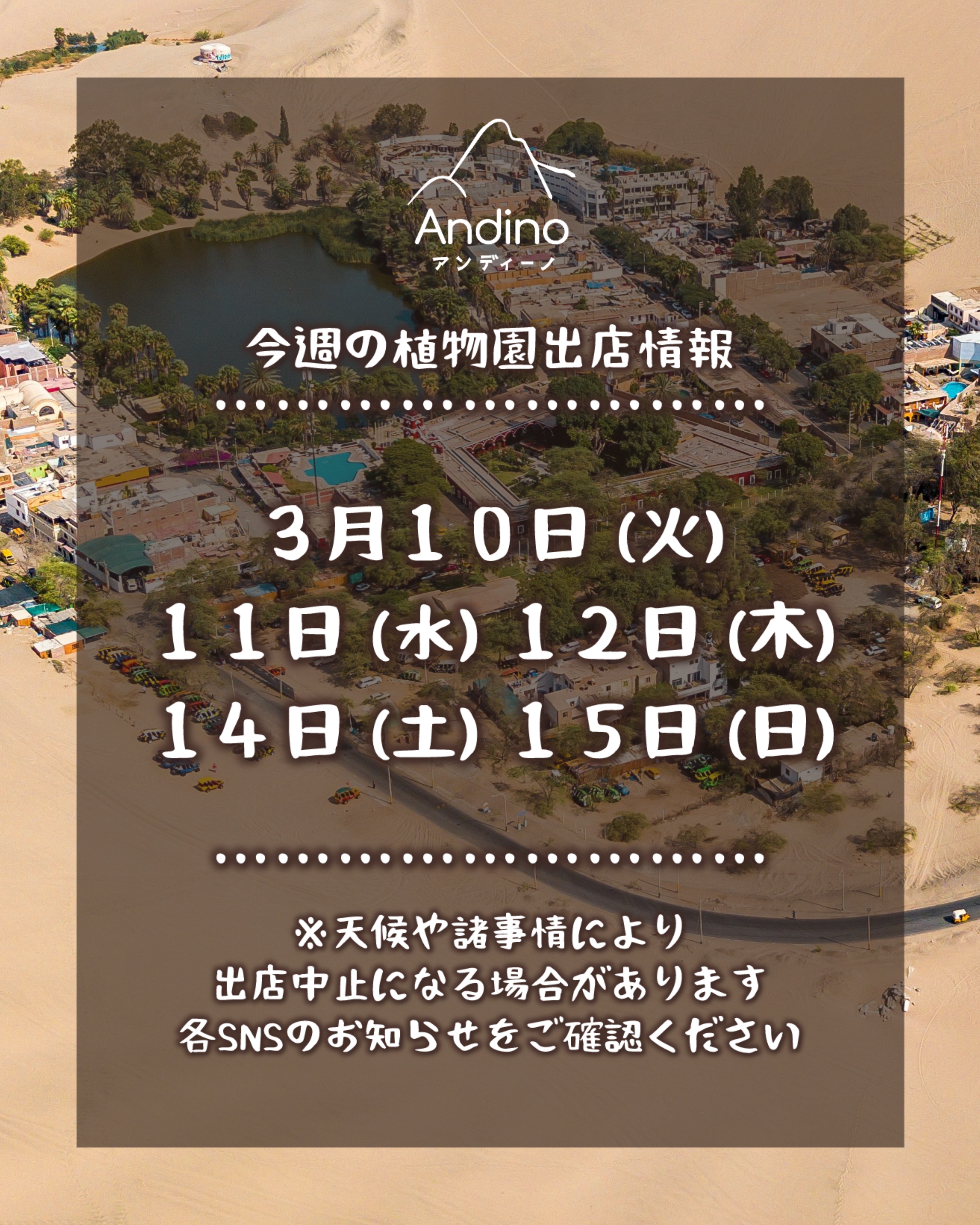 【📢今週の出店予定日のお知らせ🇵🇪3月10日(火)〜】