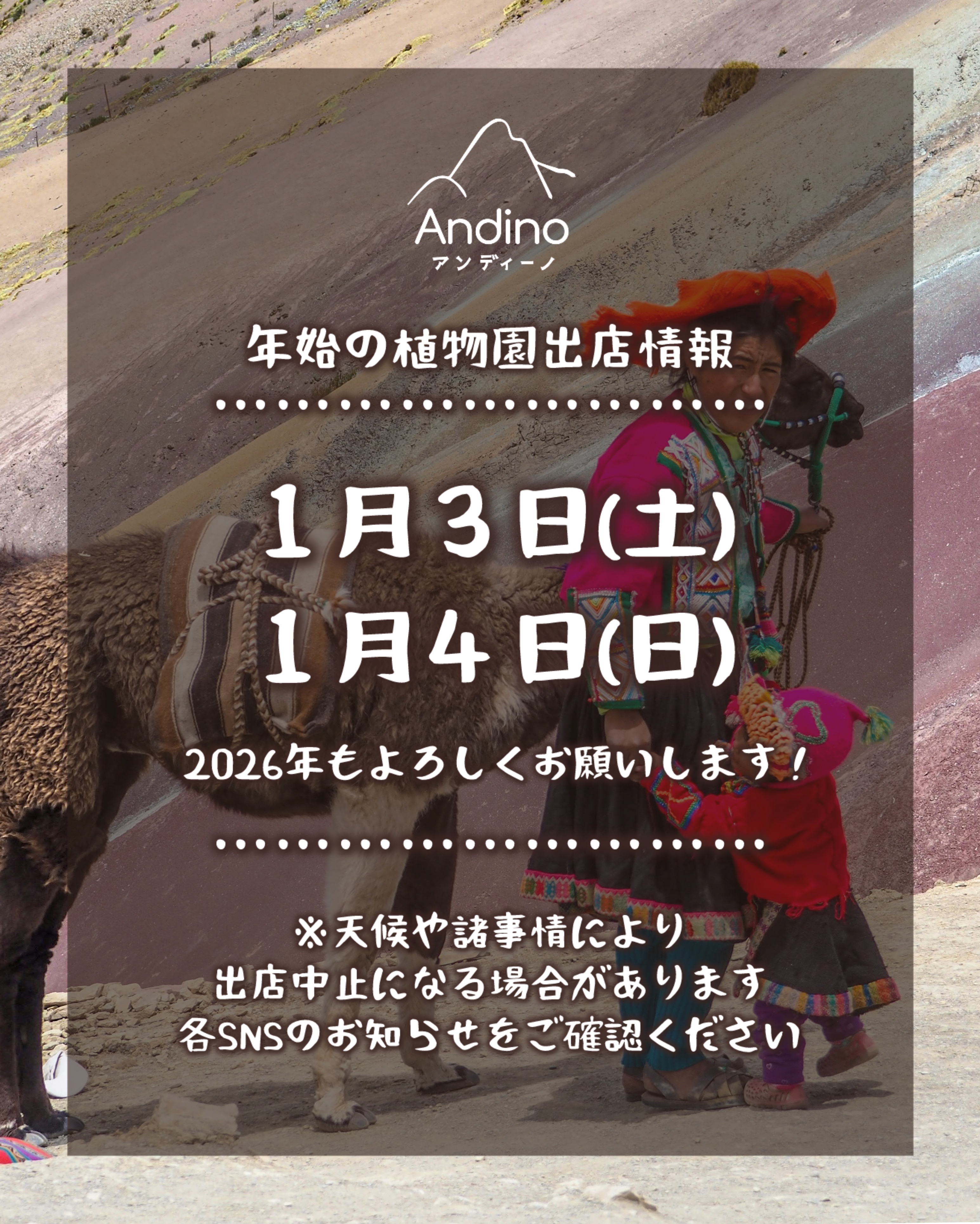 【📢年始の出店予定日のお知らせ🇵🇪1月3日(土)、4日(日)】