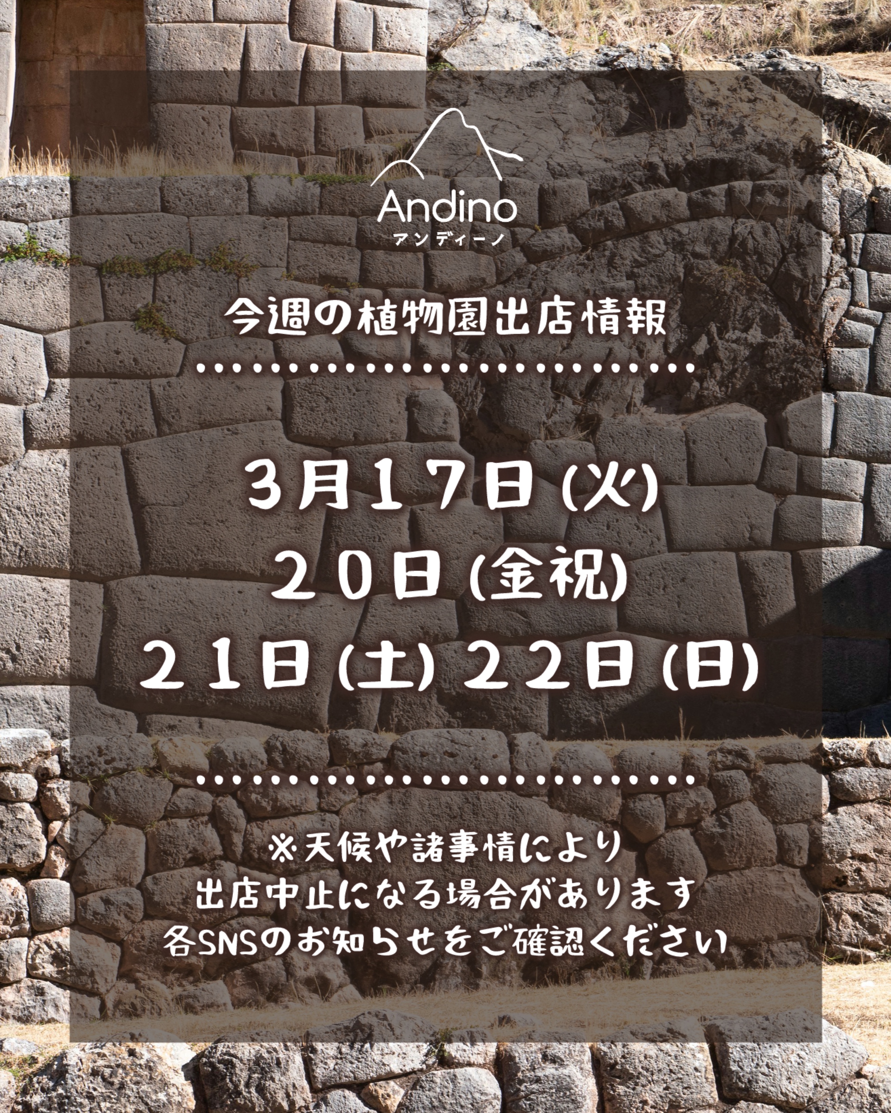 【📢今週の出店予定日のお知らせ🇵🇪3月17日(火)〜】