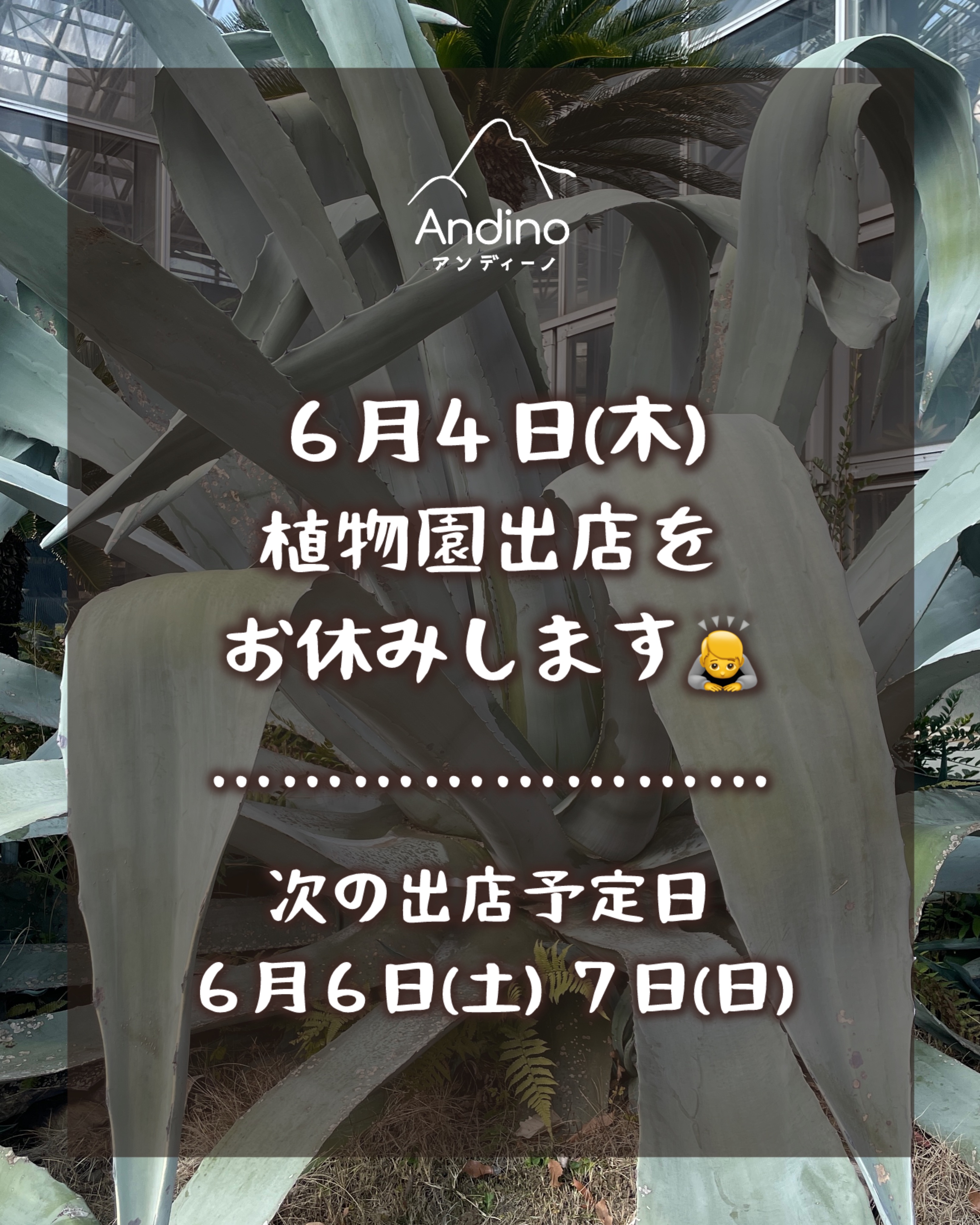 【⚠️本日6/4(木)出店お休みのお知らせ】