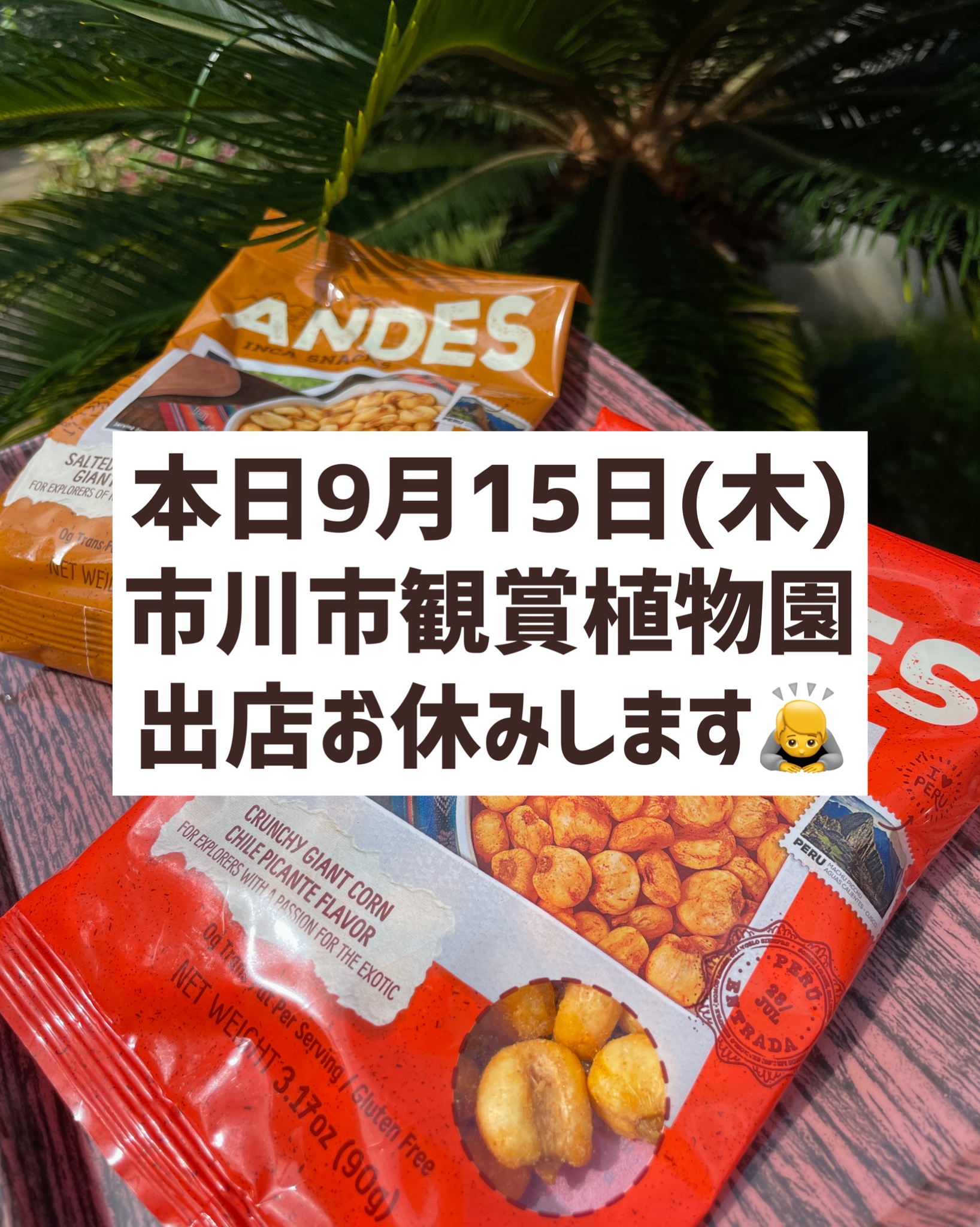 【📢本日9月15日(木)の植物園出店はお休みいたします🙇】