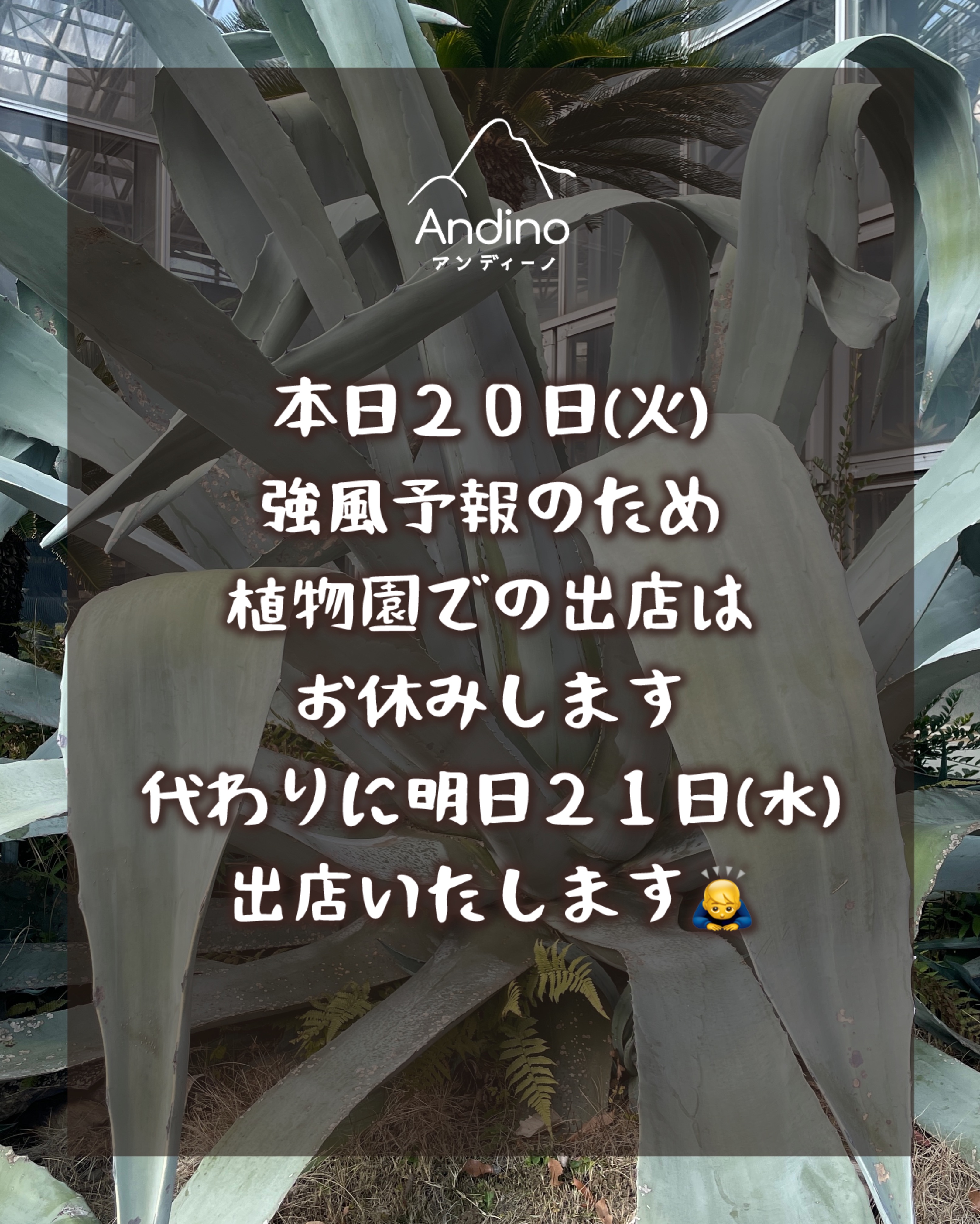 【⚠️1月20日(火)出店お休み→21日(水)出店】