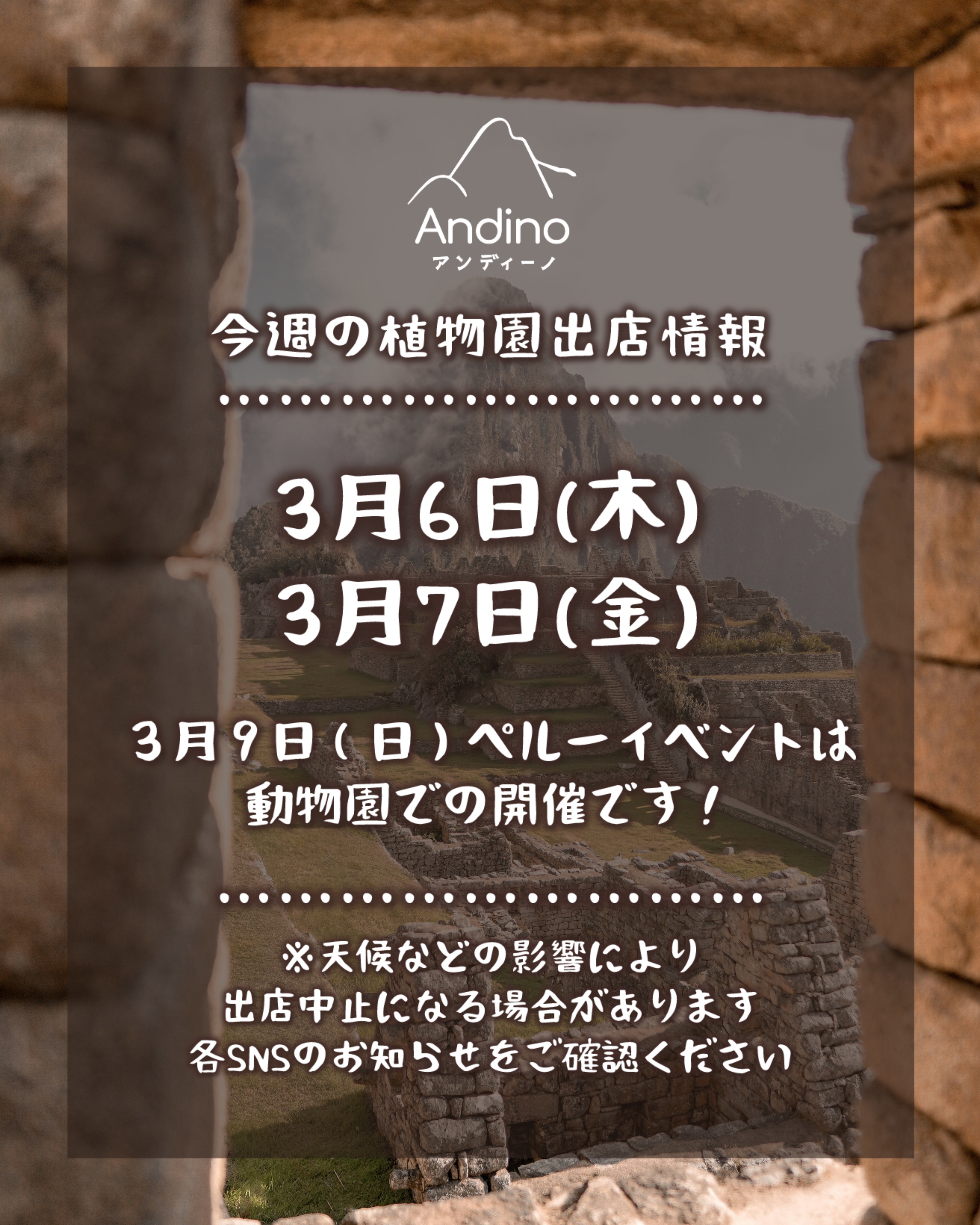 【📢今週の出店予定日のお知らせ🇵🇪3月6日(木)、7日(金)、9日(日)】