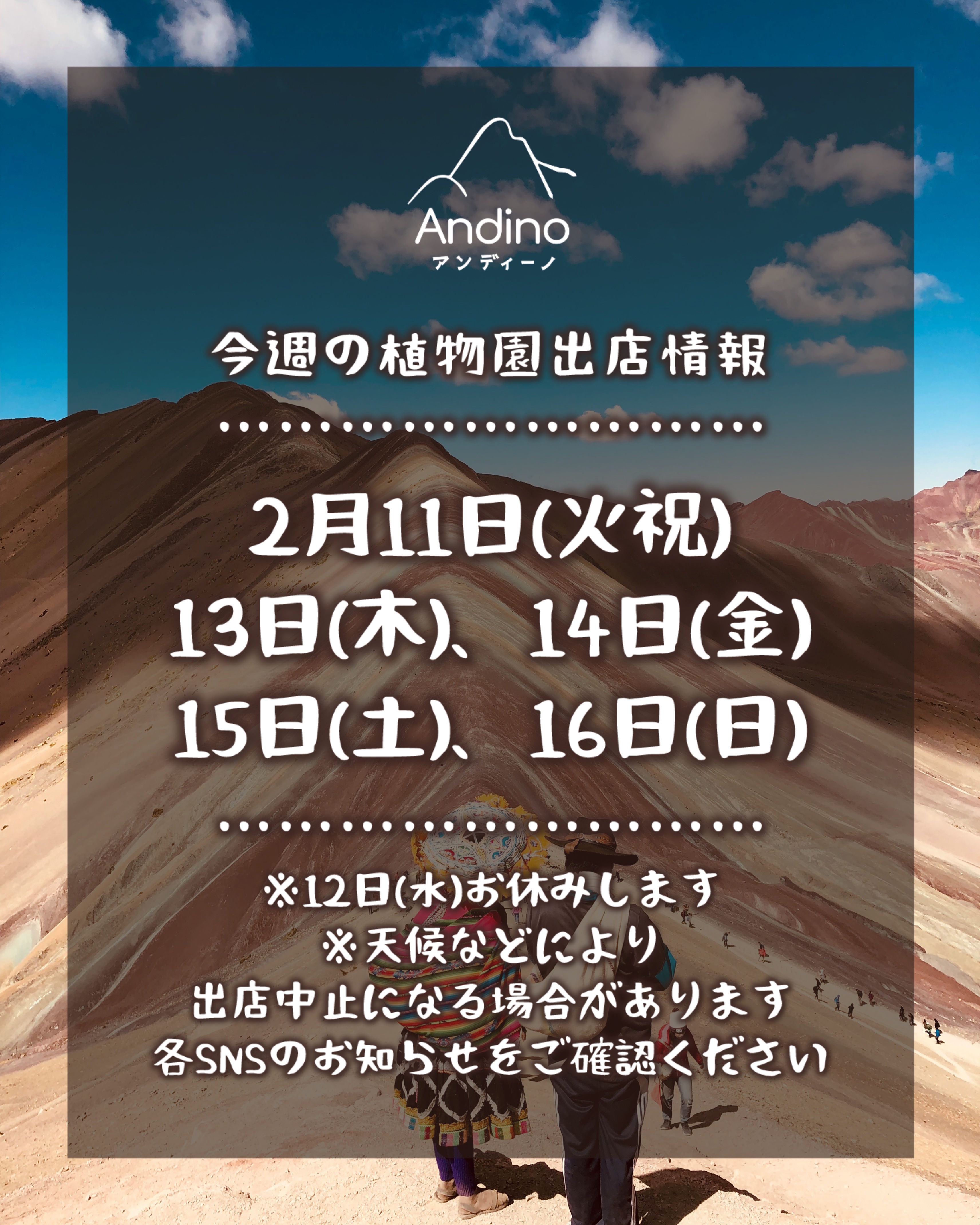 【📢今週の出店予定日のお知らせ🇵🇪2月11日(火祝)〜16日(日)】