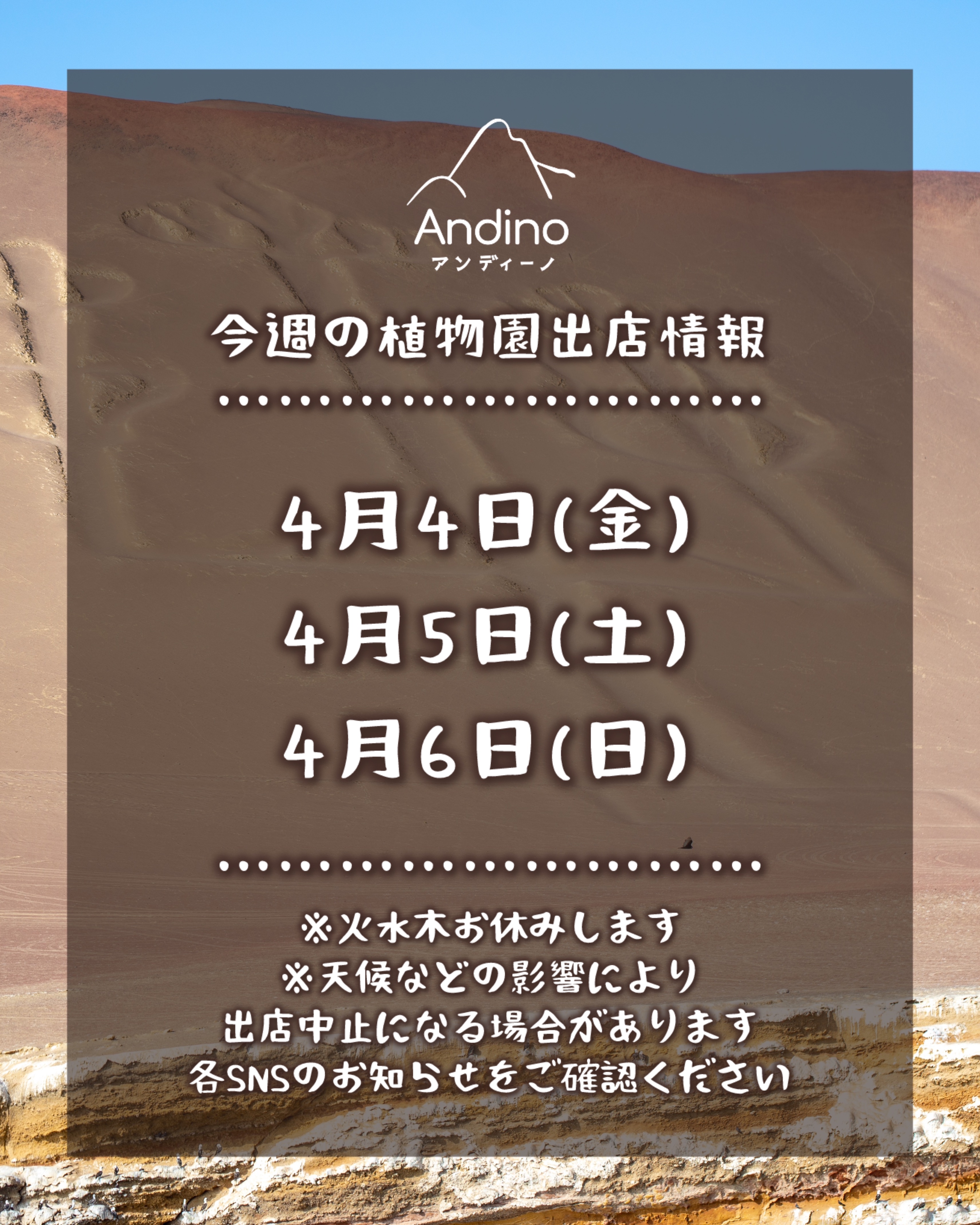 【📢今週の出店予定日のお知らせ🇵🇪4月4日(金)〜6日(日)】