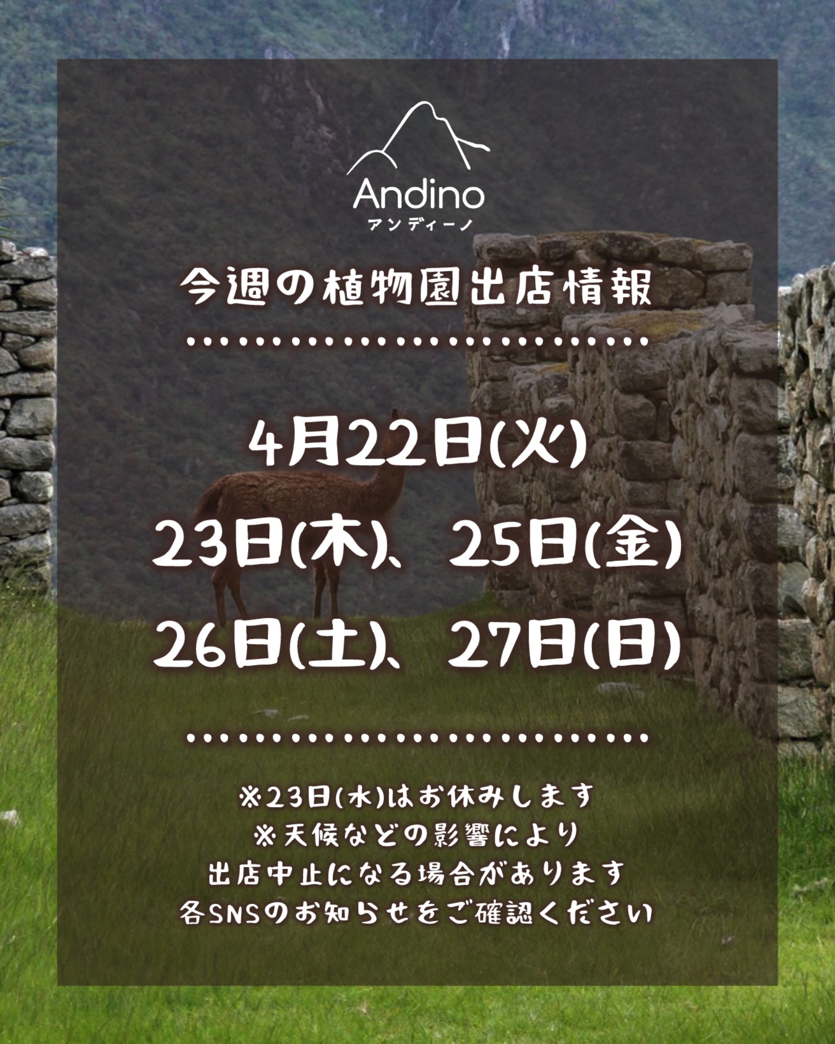 【📢今週の出店予定日のお知らせ🇵🇪4月22日(火)〜27日(日)】