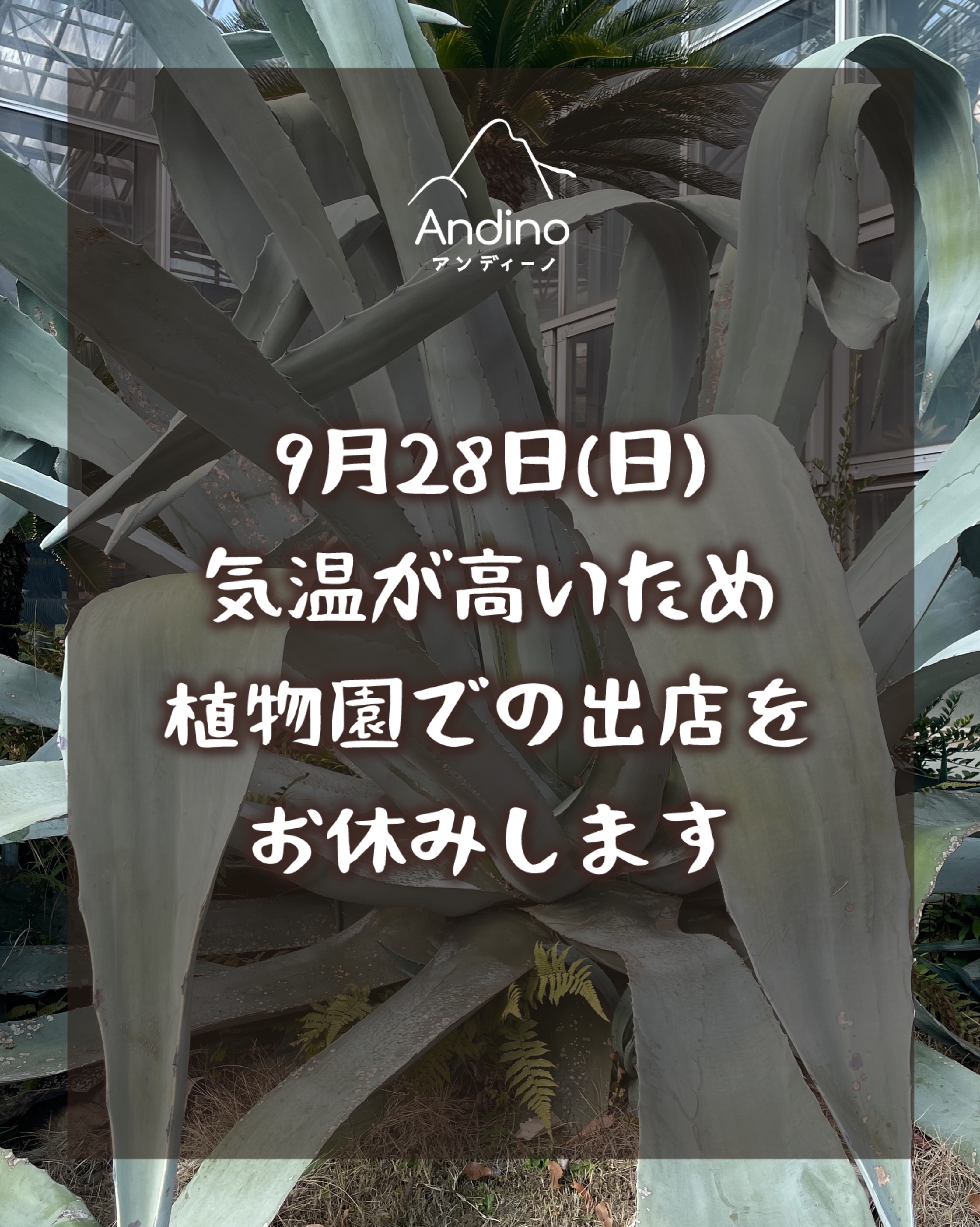 【⚠️9月28日(日)植物園出店お休みのお知らせ】