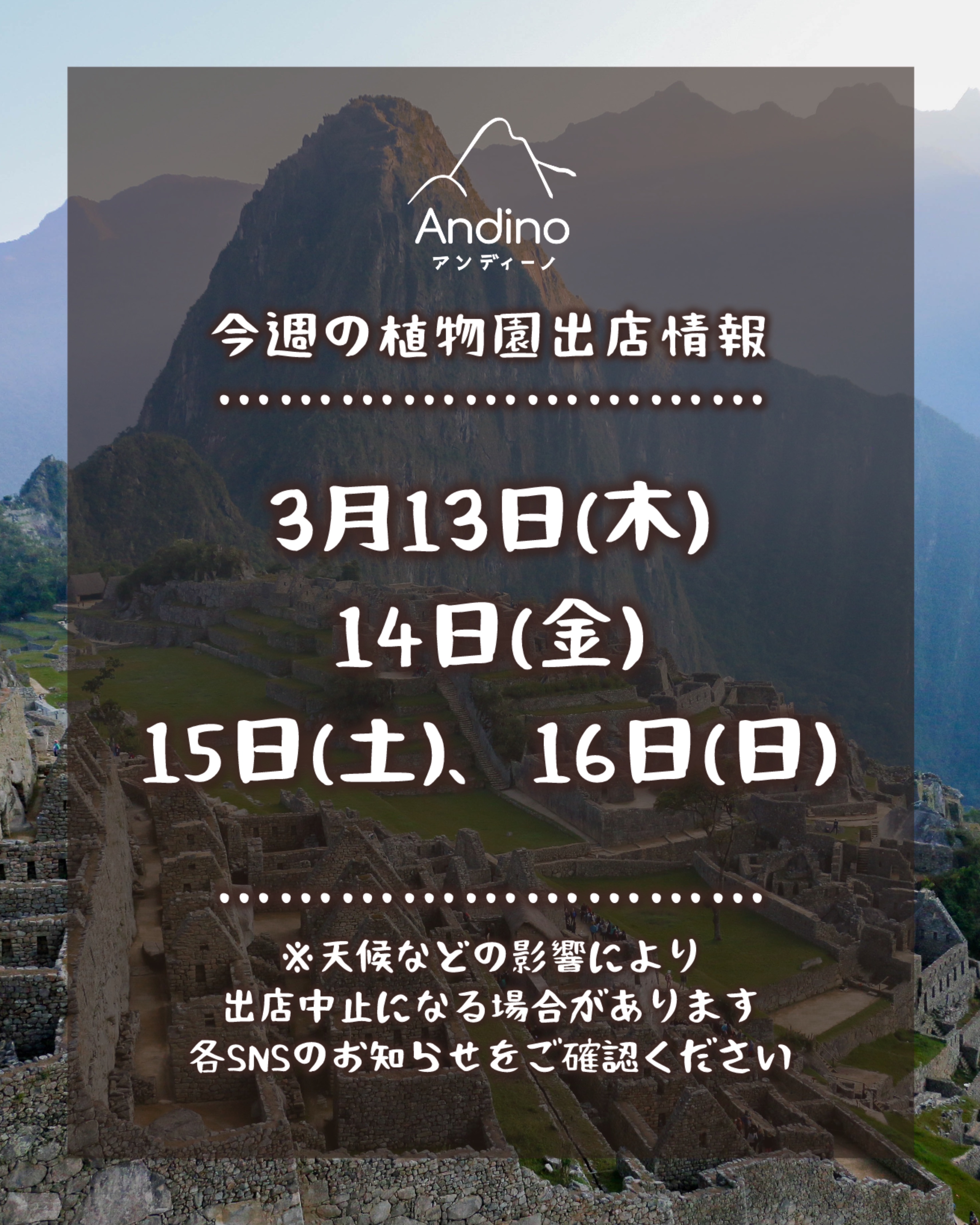 【📢今週の出店予定日のお知らせ🇵🇪3月13日(木)〜16日(日)】
