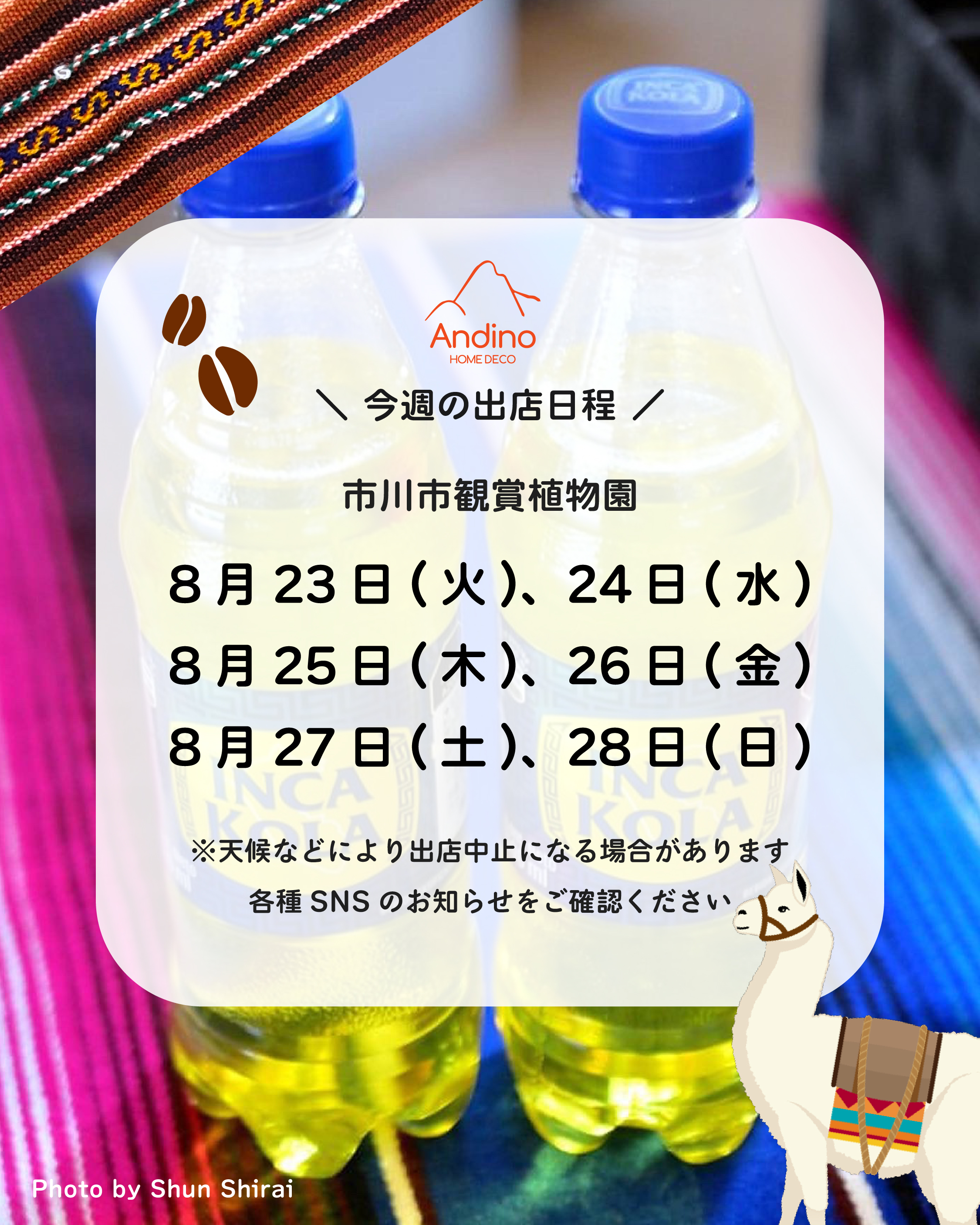 【今週のAndino出店予定日8月23日(火)〜28日(日)】