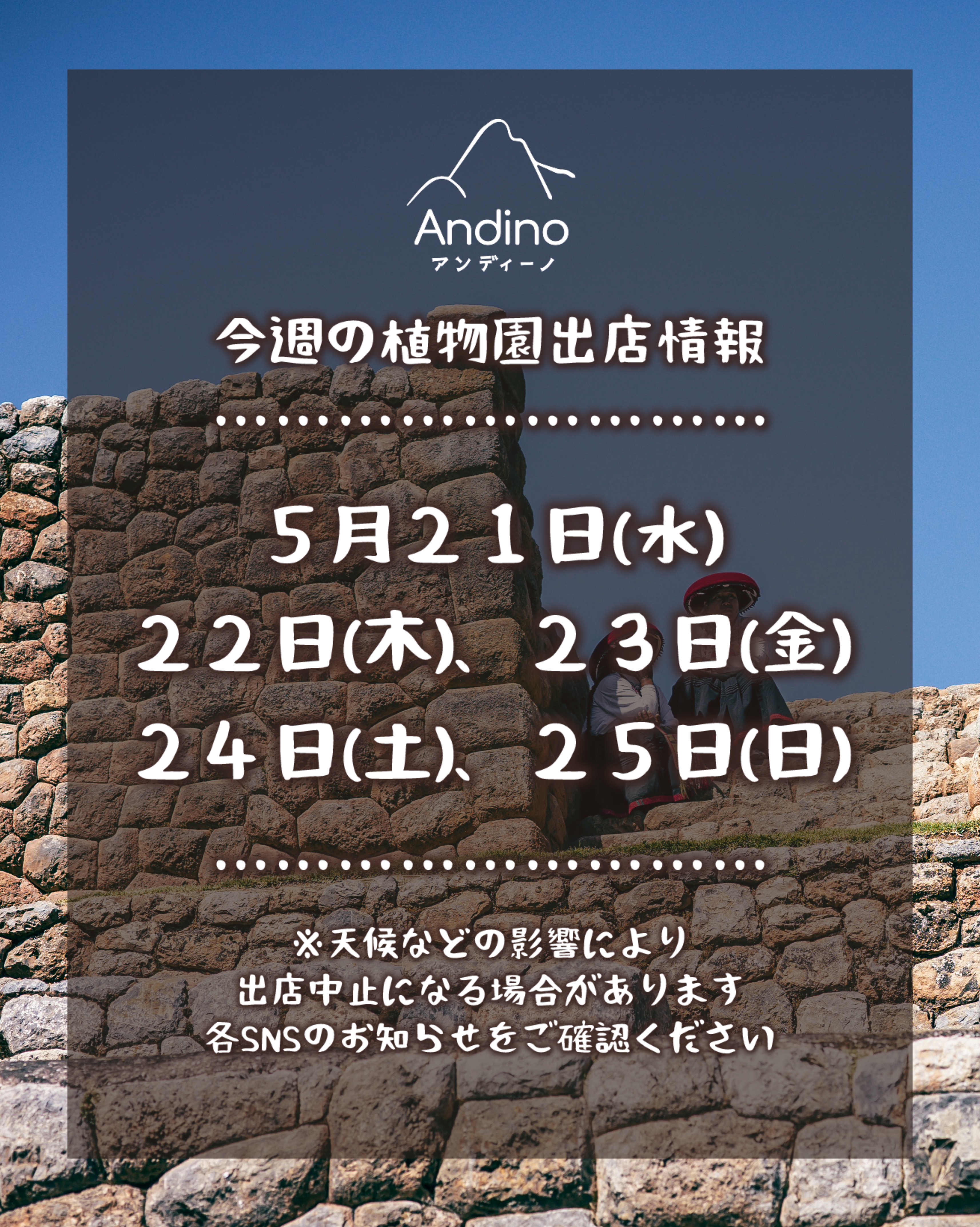 【📢今週の出店予定日のお知らせ🇵🇪5月21日(水)〜25日(日)】