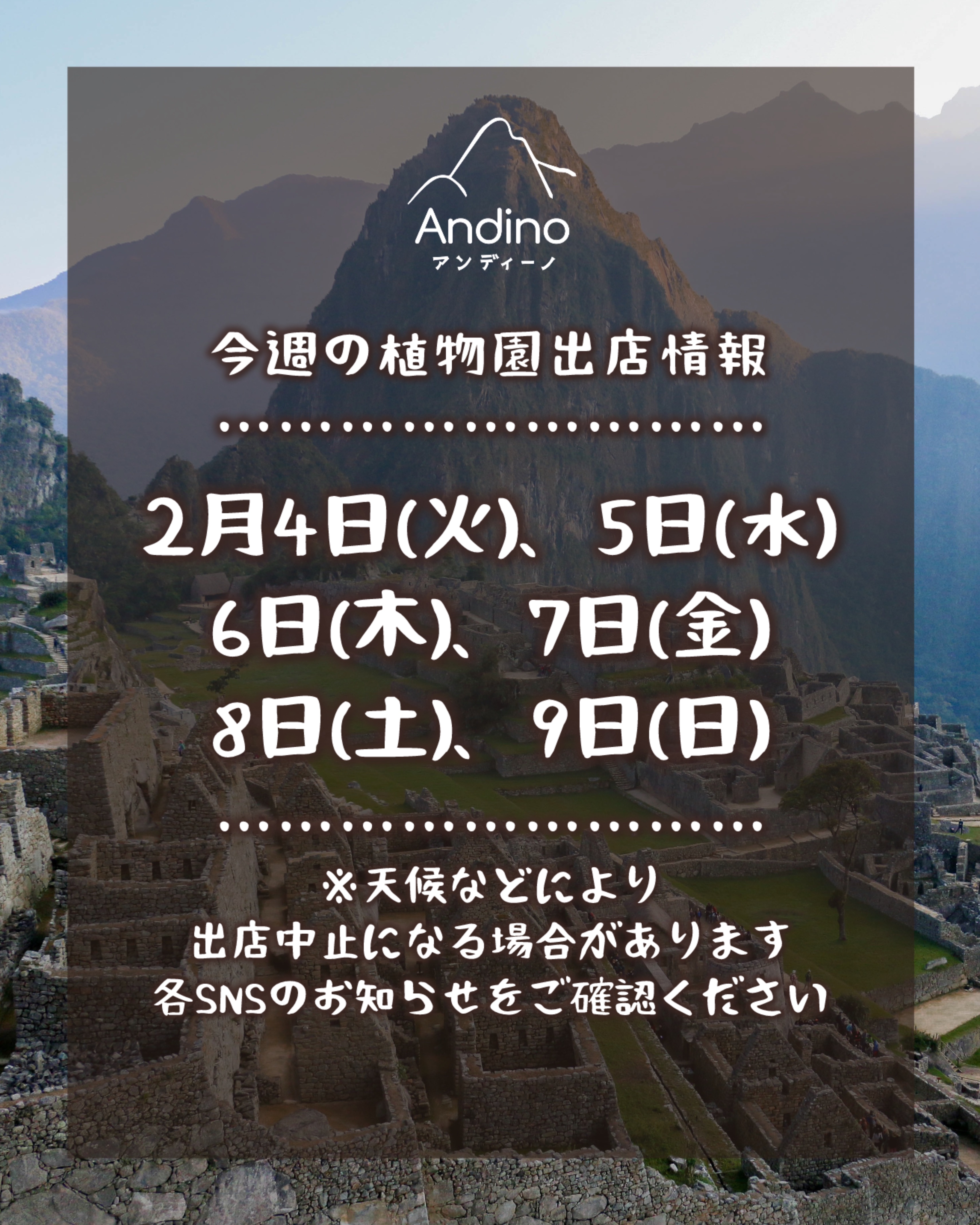 【📢今週の出店予定日のお知らせ🇵🇪2月4日(火)〜9日(日)】