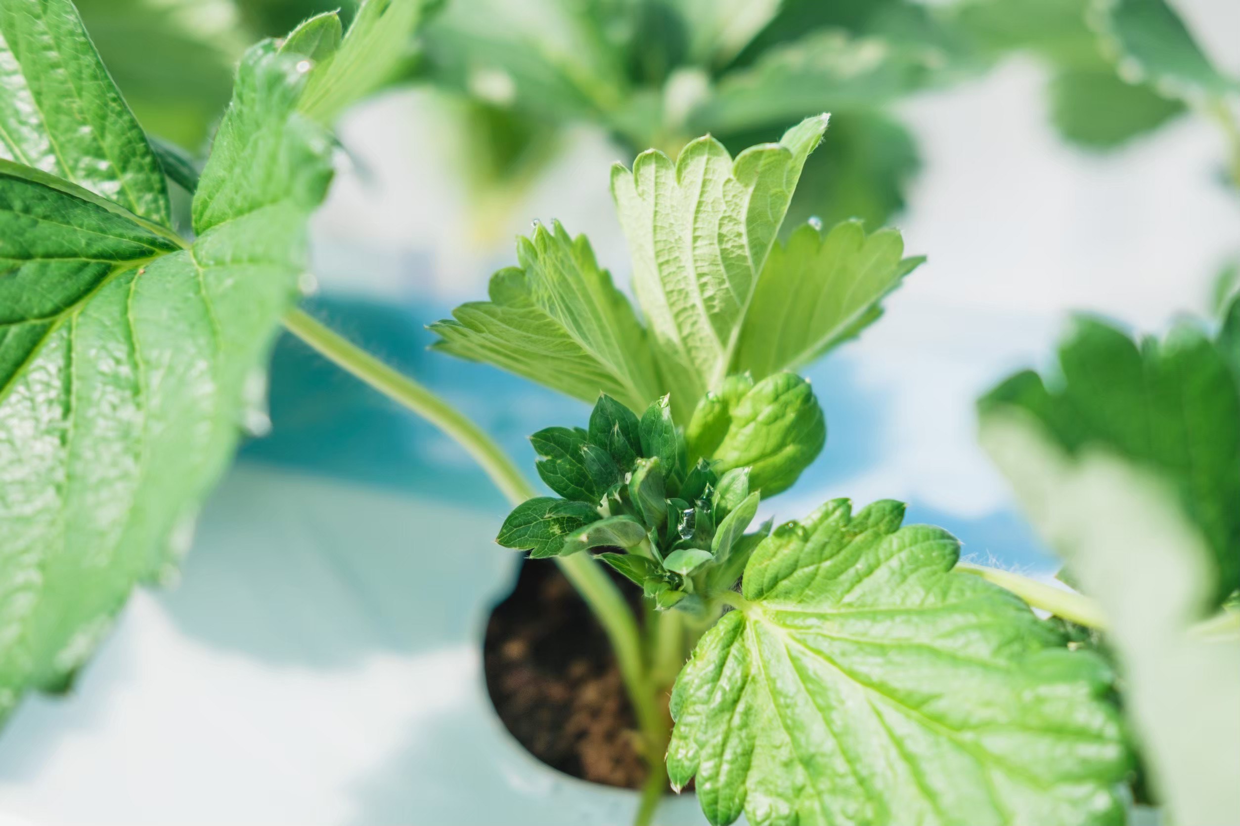 2025年の振り返り