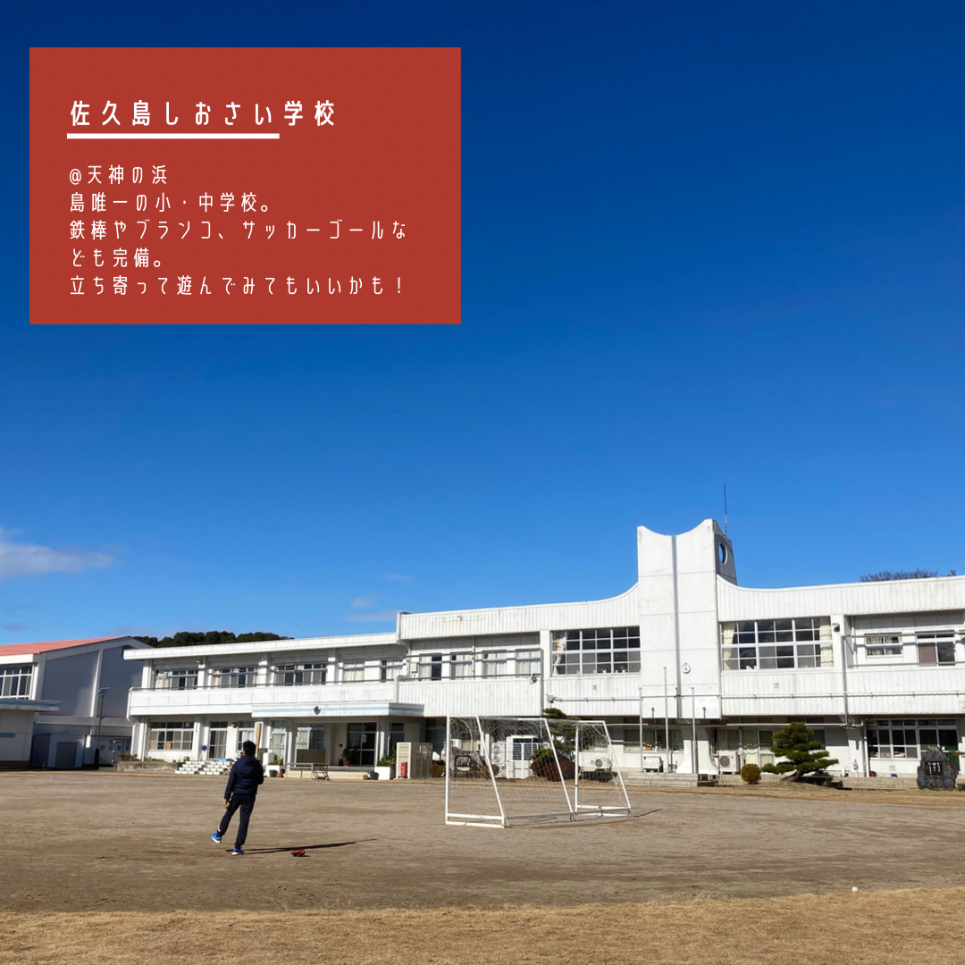 ■コラボ第2弾（勝手に）⑤ ■　佐久島しおさい学校