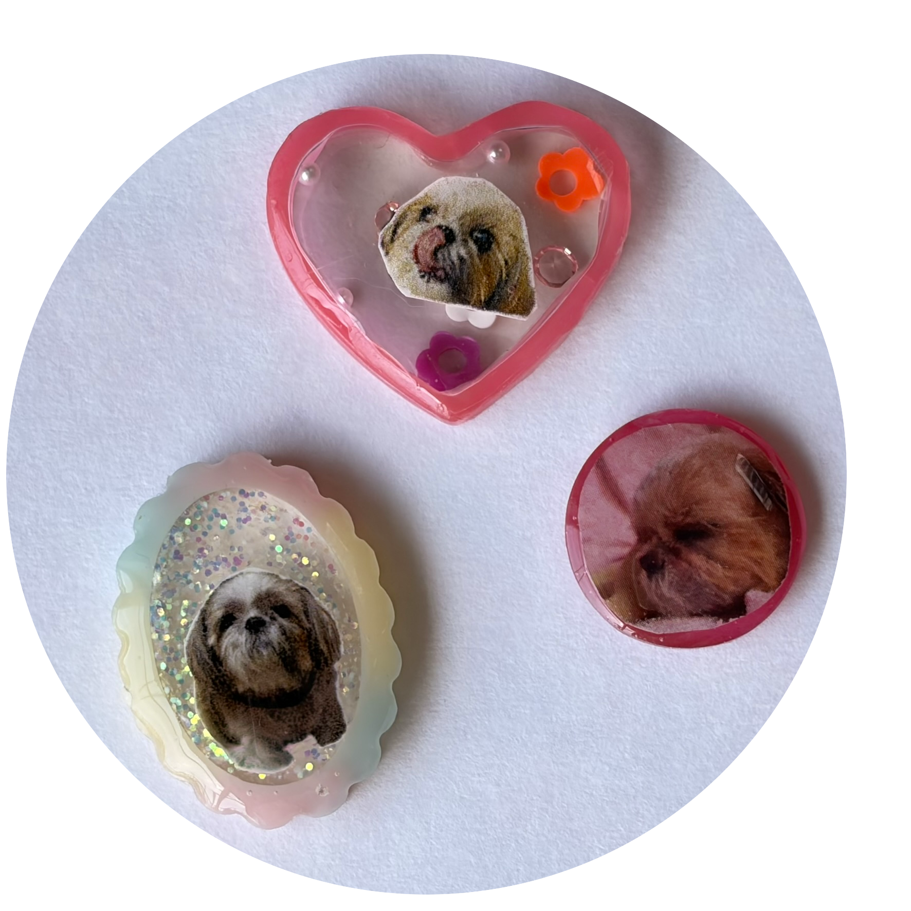 5月20日まで　ご購入者様にプレゼント