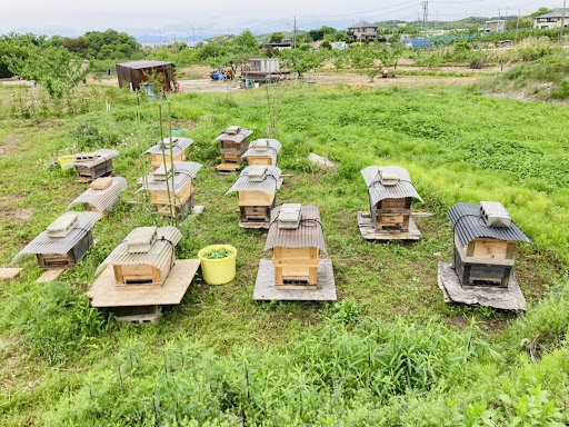 自然界の不思議に魅了されました