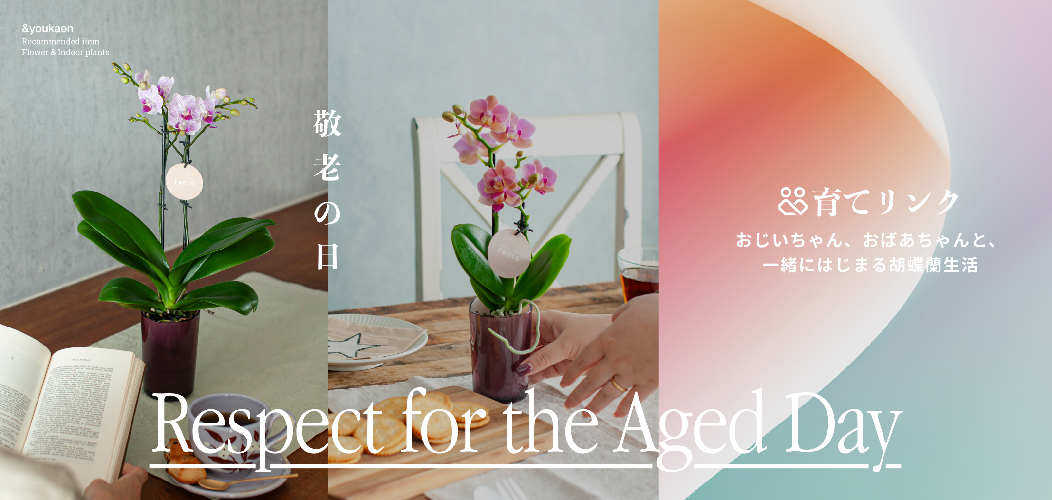 【10%OFFセール実施中!】期間限定!おじいちゃんおばあちゃんに感謝の気持ちを伝えるフラワーギフト